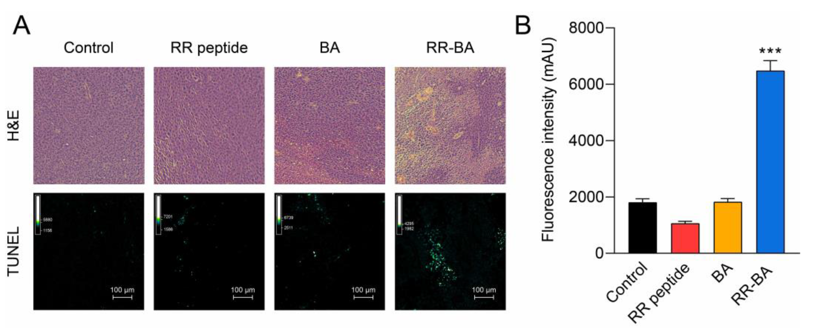Pharmaceutics 15 01131 g008