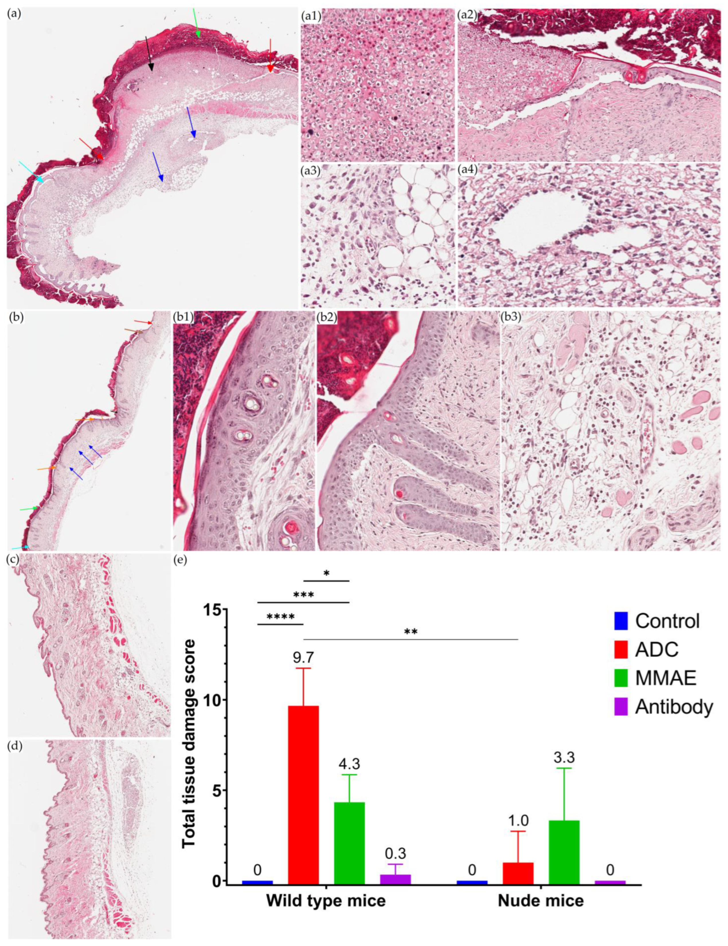 Pharmaceutics 15 01132 g006 Pharmaceutics 15 01132 g006