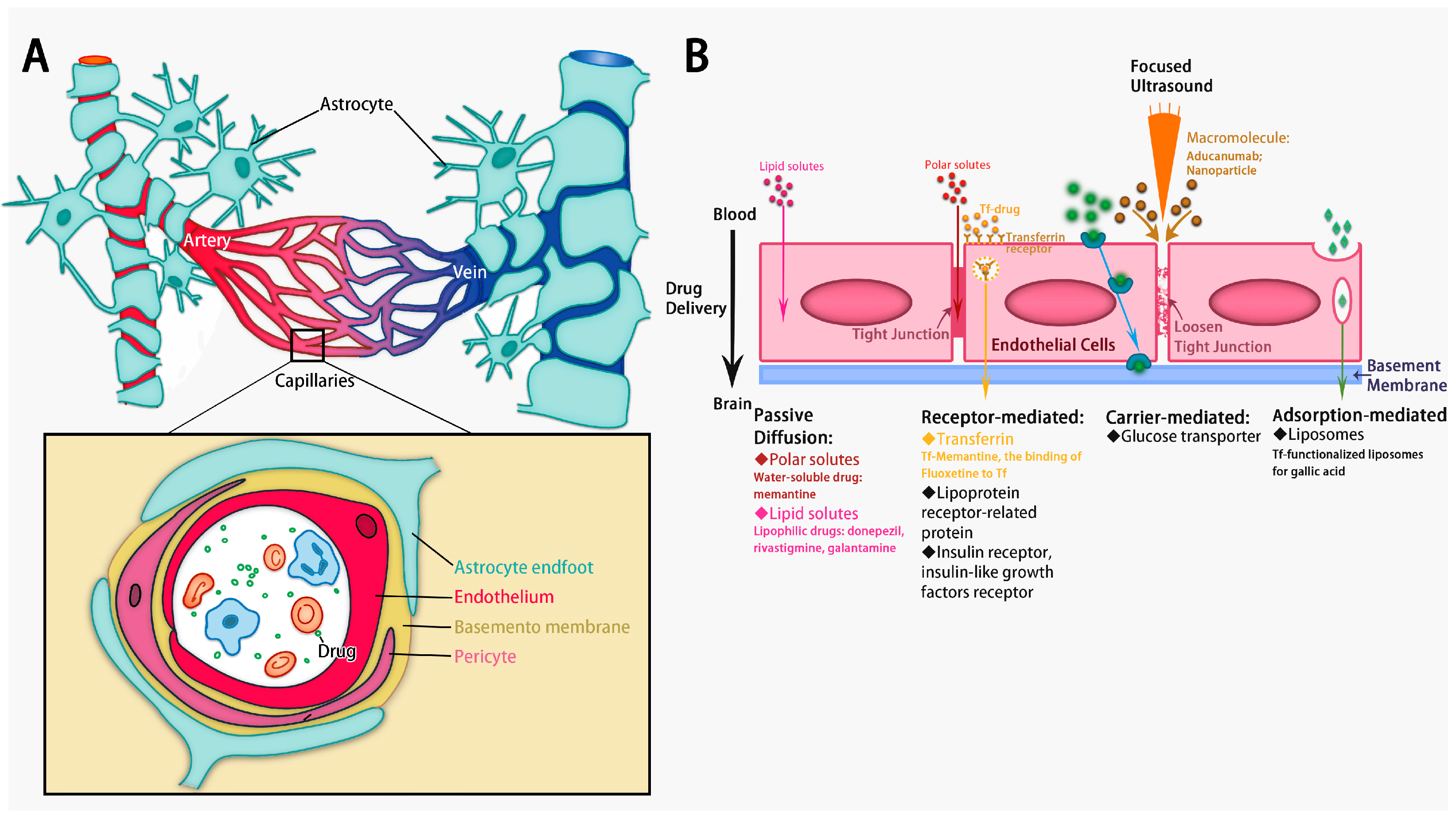 New Insights into Alzheimer's Disease: Novel Pathogenesis