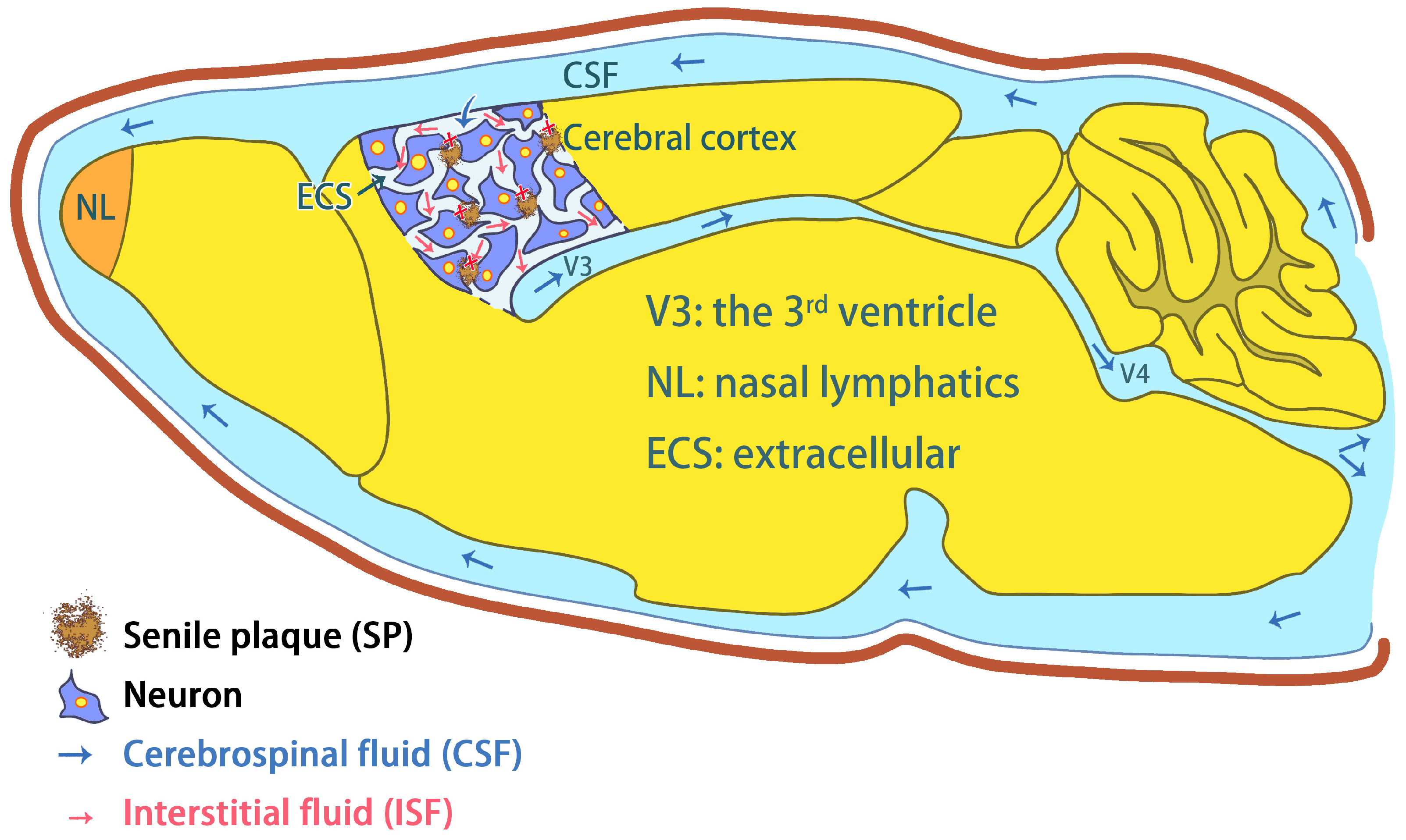 Pharmaceutics 15 01133 g002
