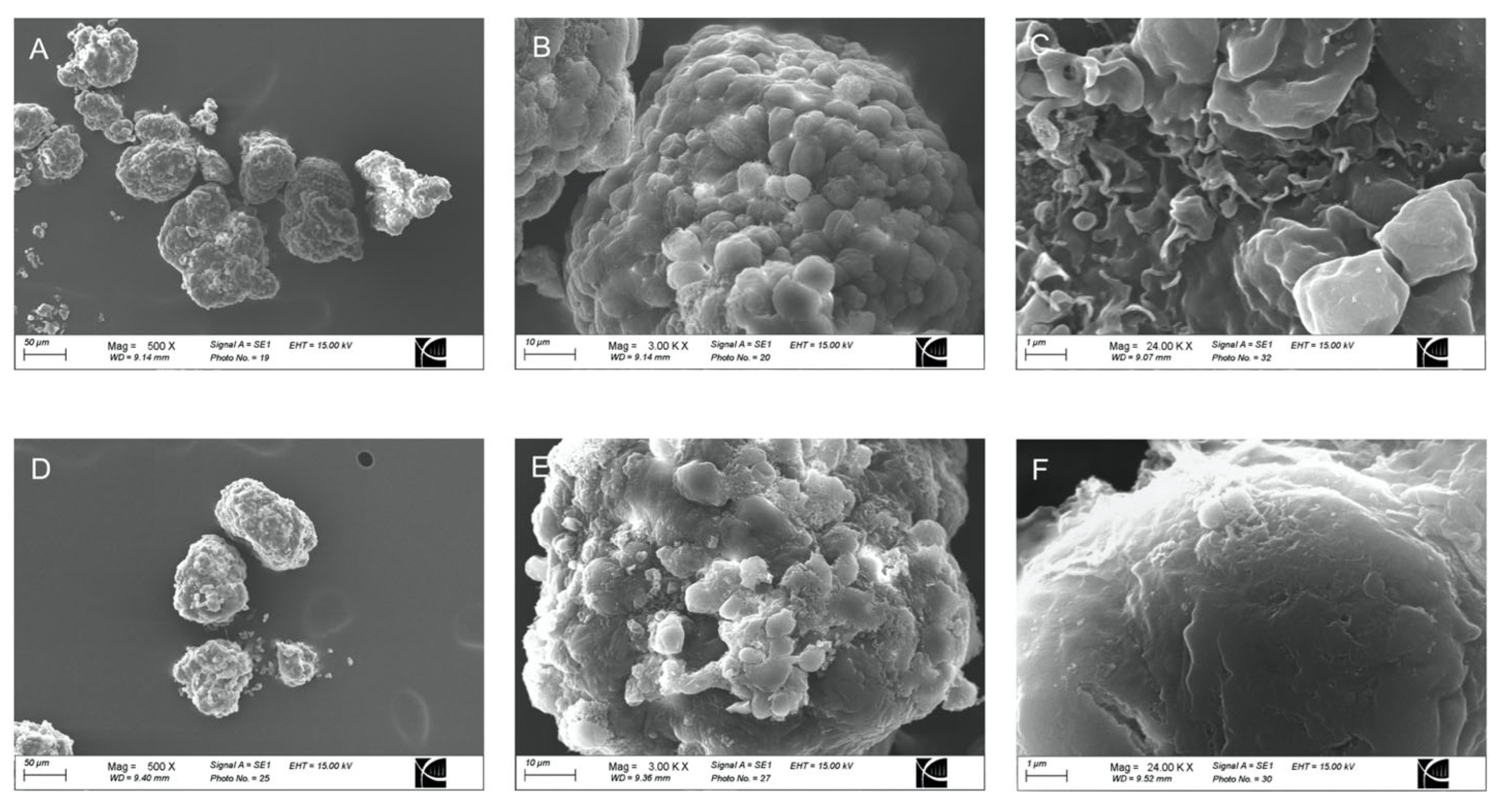 Pharmaceutics 15 01137 g002