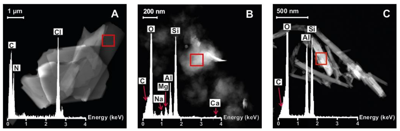 Pharmaceutics 15 01140 g006