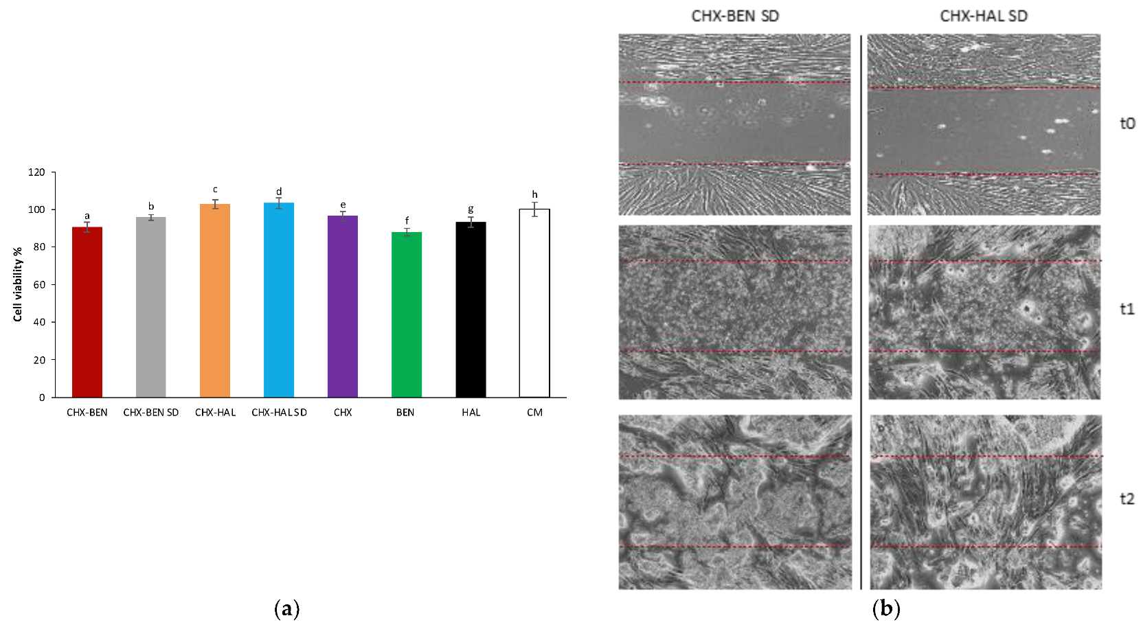 Pharmaceutics 15 01140 g012