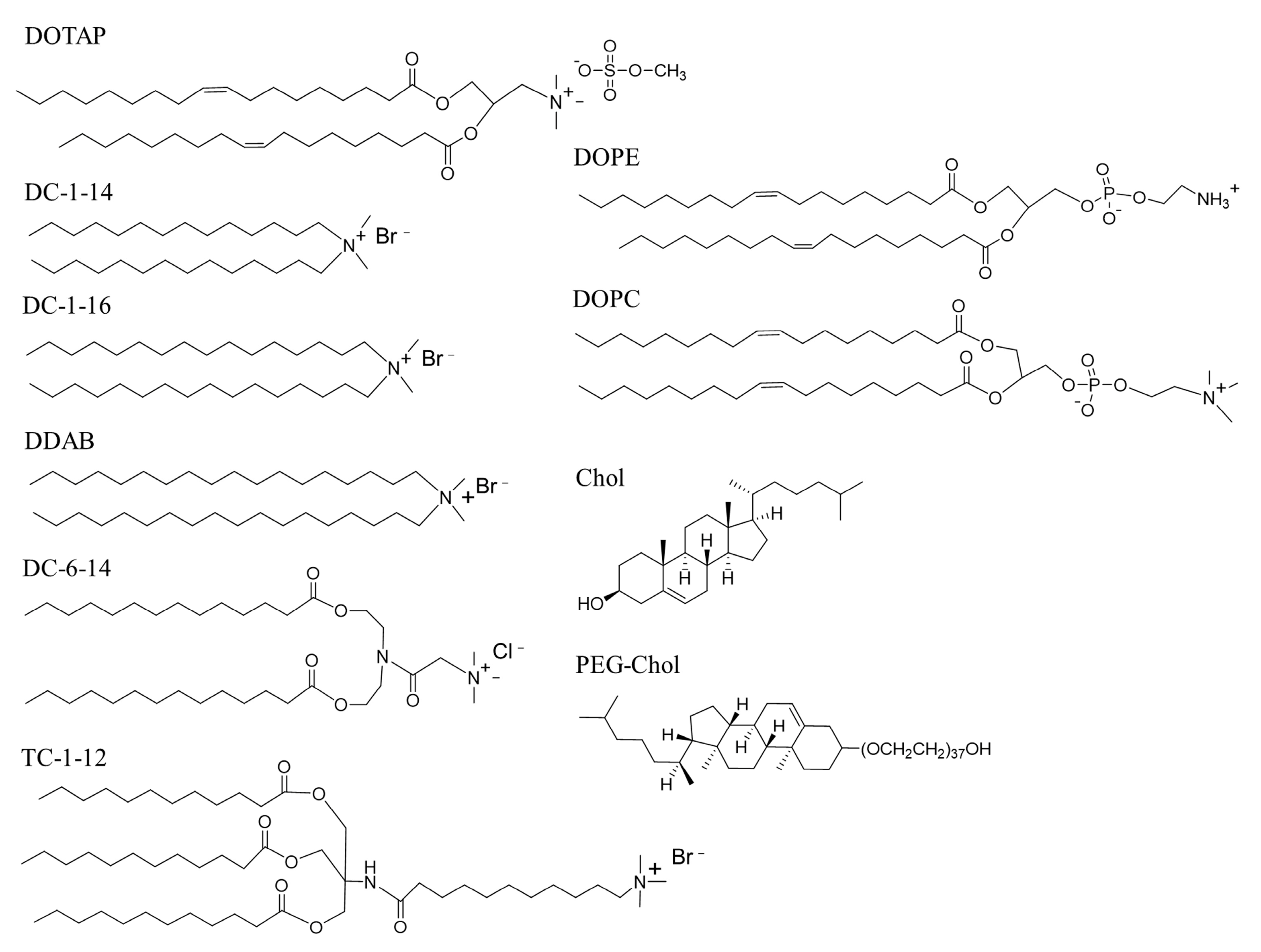 Pharmaceutics 15 01141 g001
