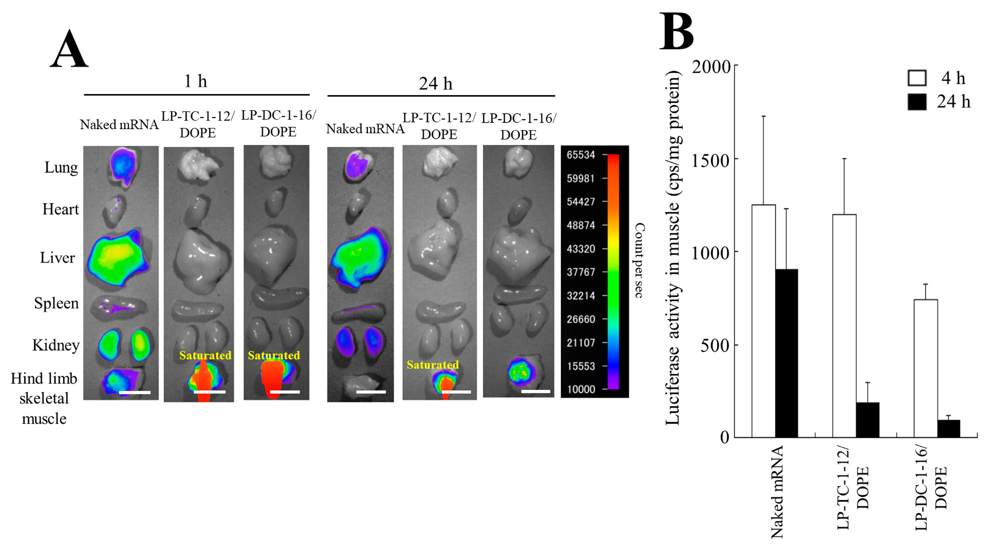 Pharmaceutics 15 01141 g008