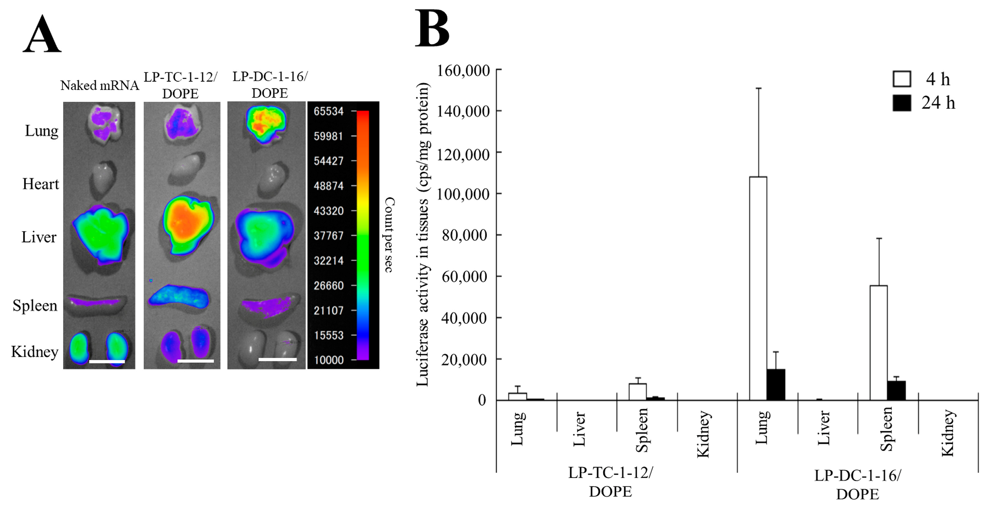 Pharmaceutics 15 01141 g009