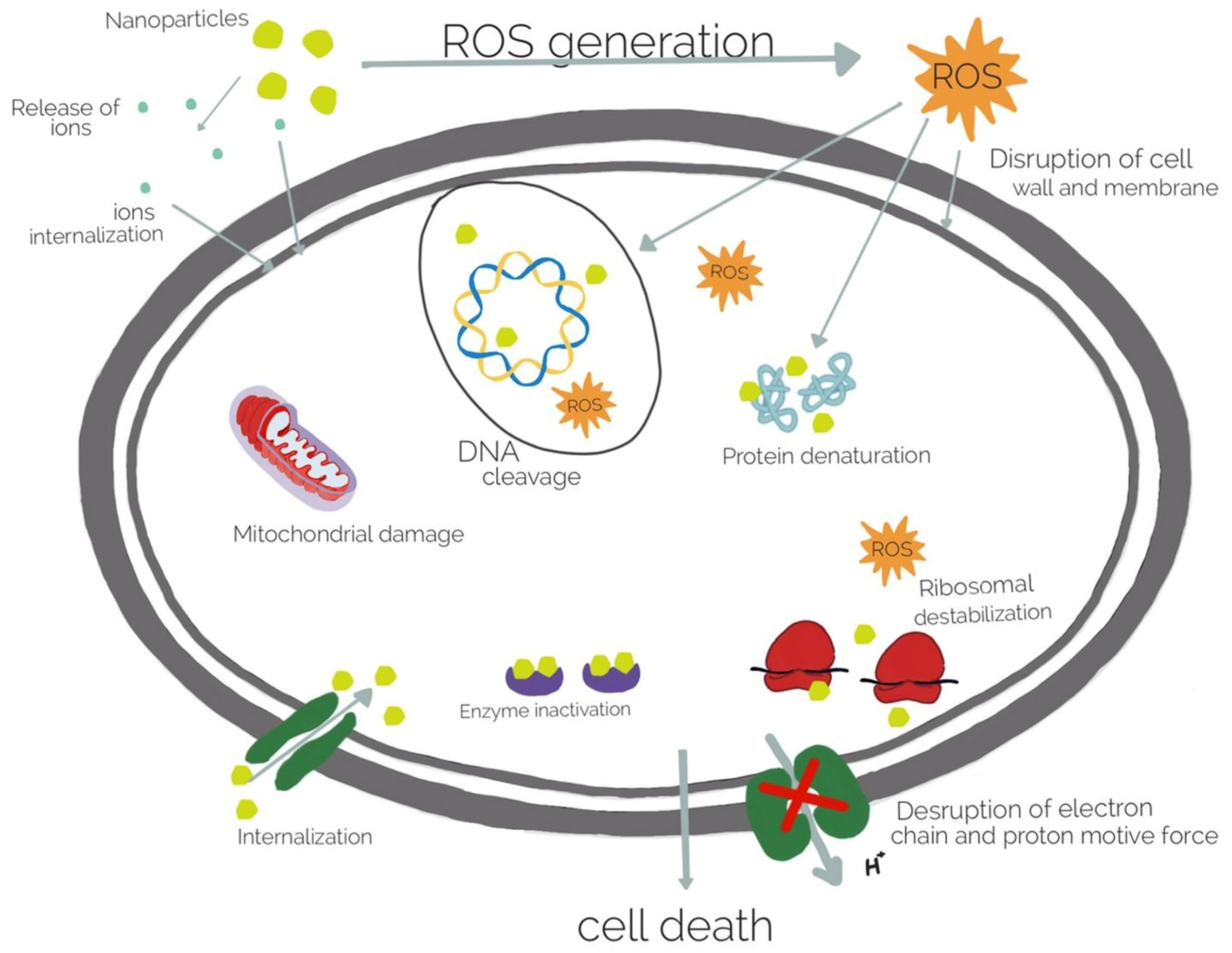 Pharmaceutics 15 01142 g004