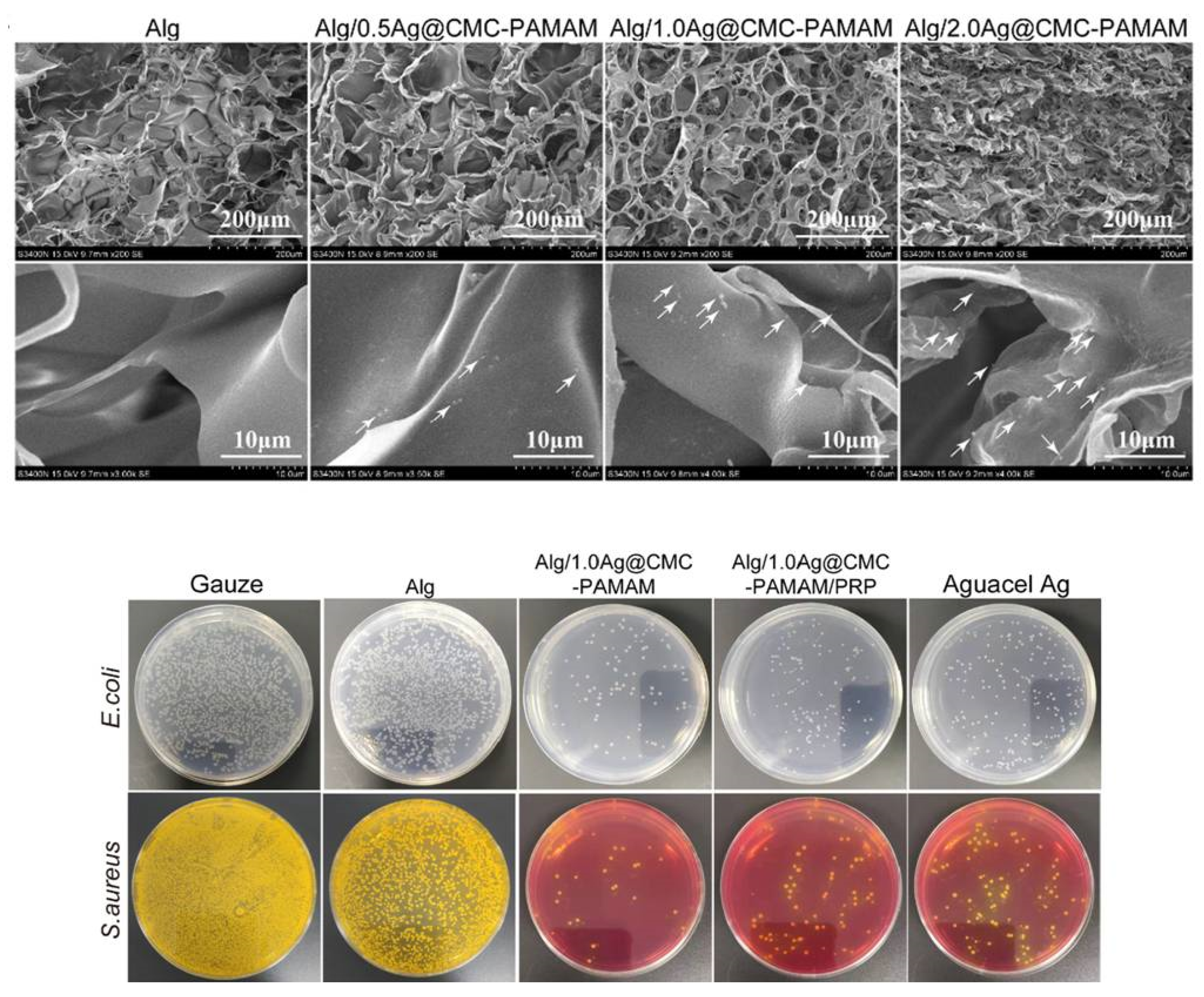 Pharmaceutics 15 01142 g007