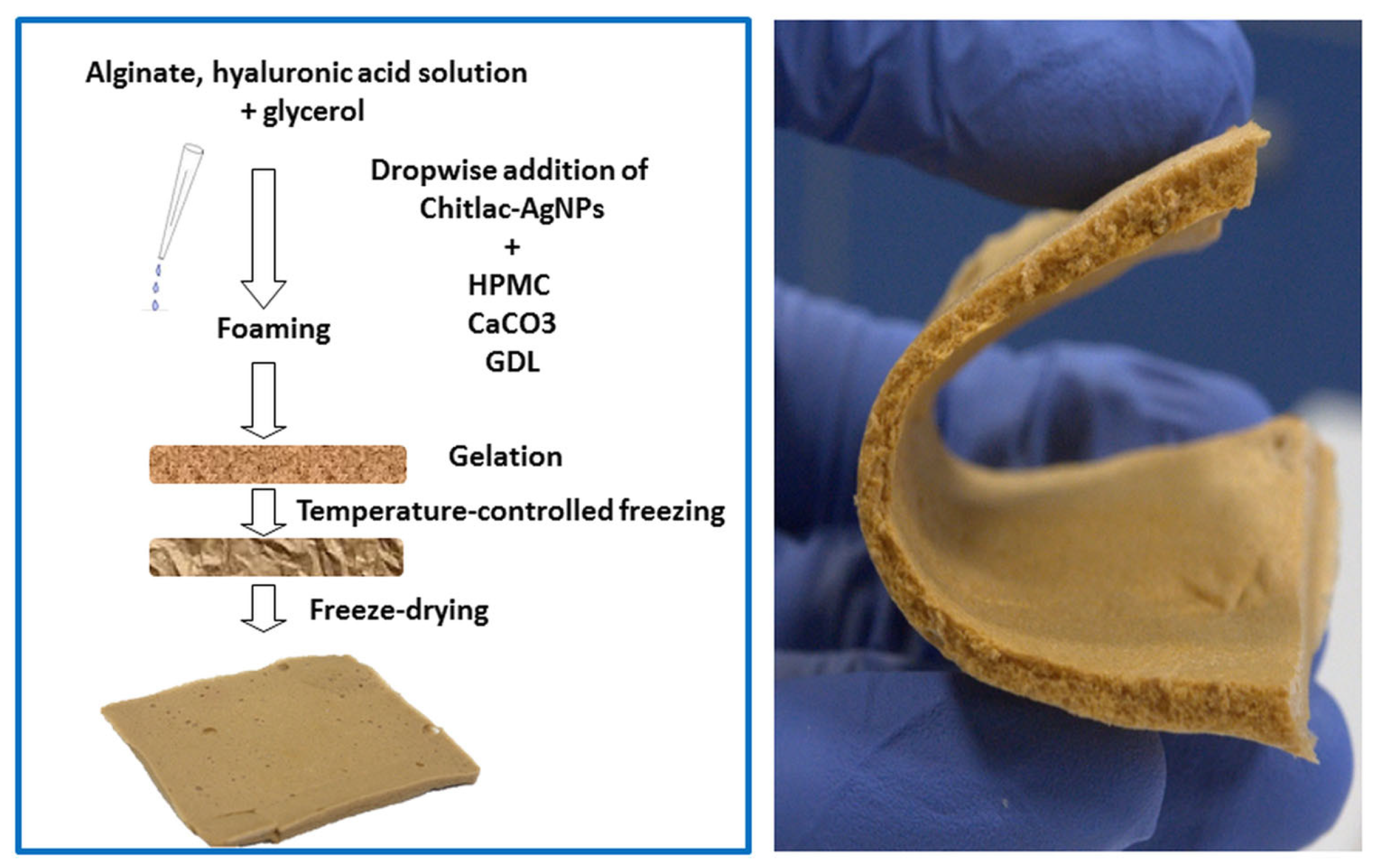 Pharmaceutics 15 01142 g008