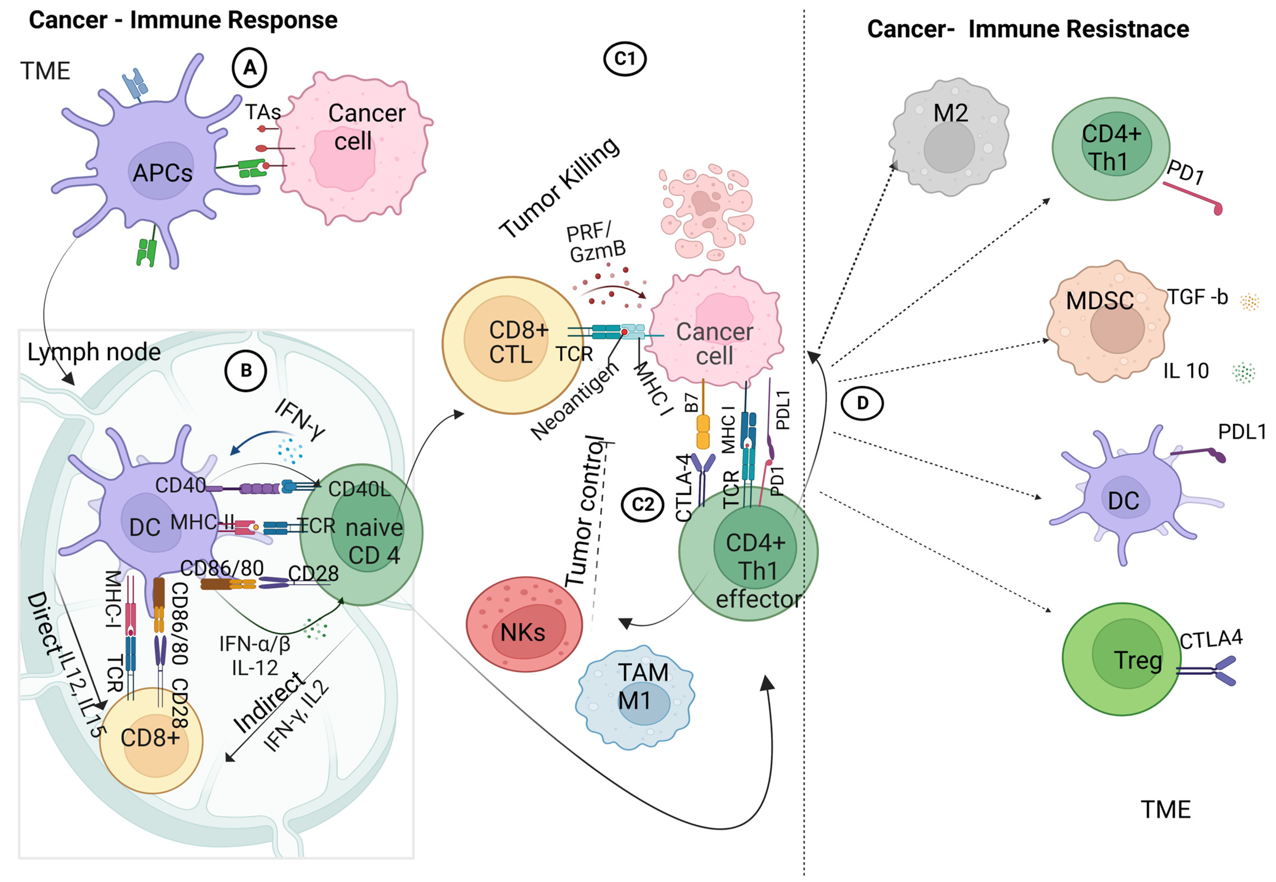 Pharmaceutics 15 01143 g002