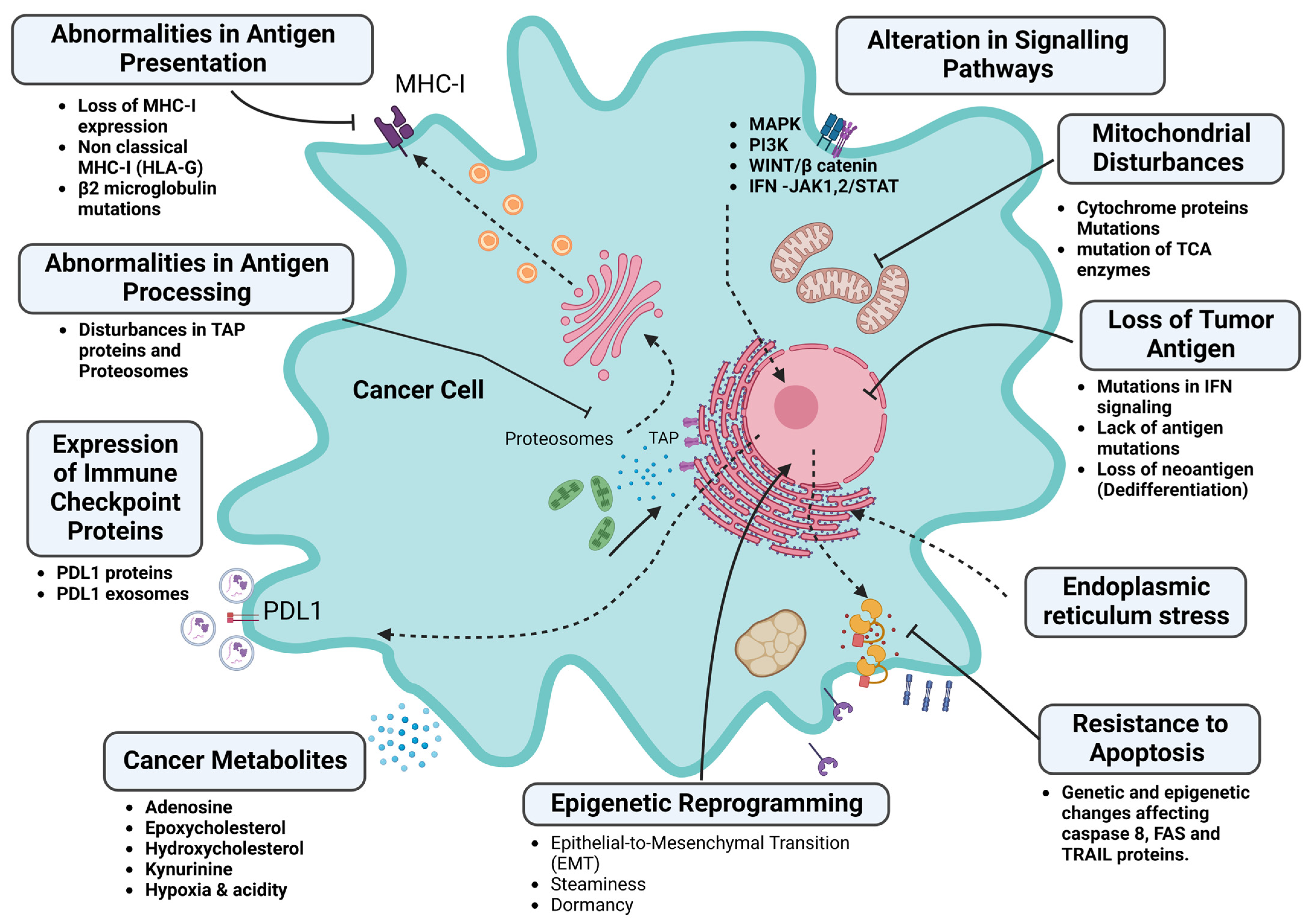 Pharmaceutics 15 01143 g003