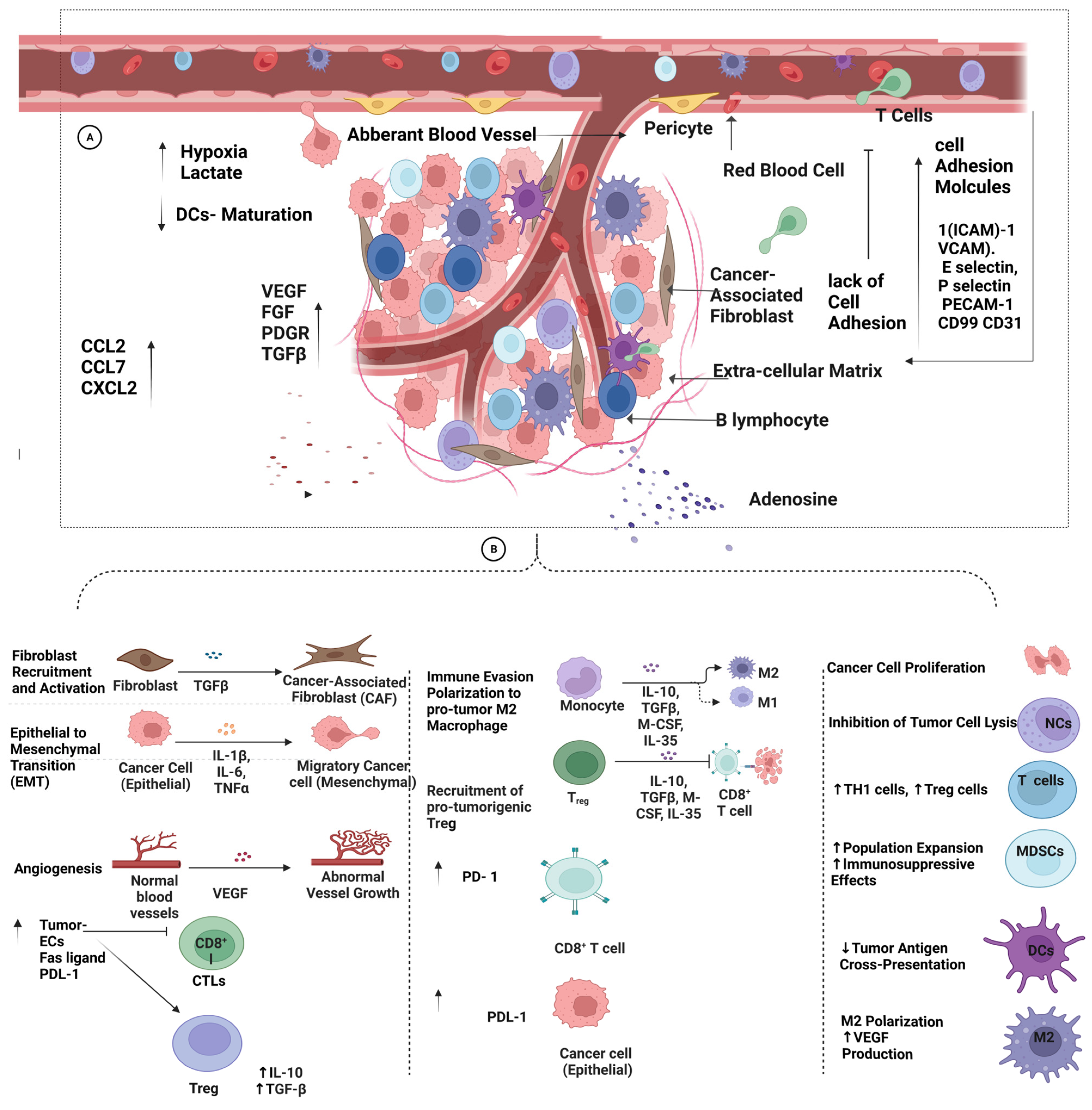 Pharmaceutics 15 01143 g004