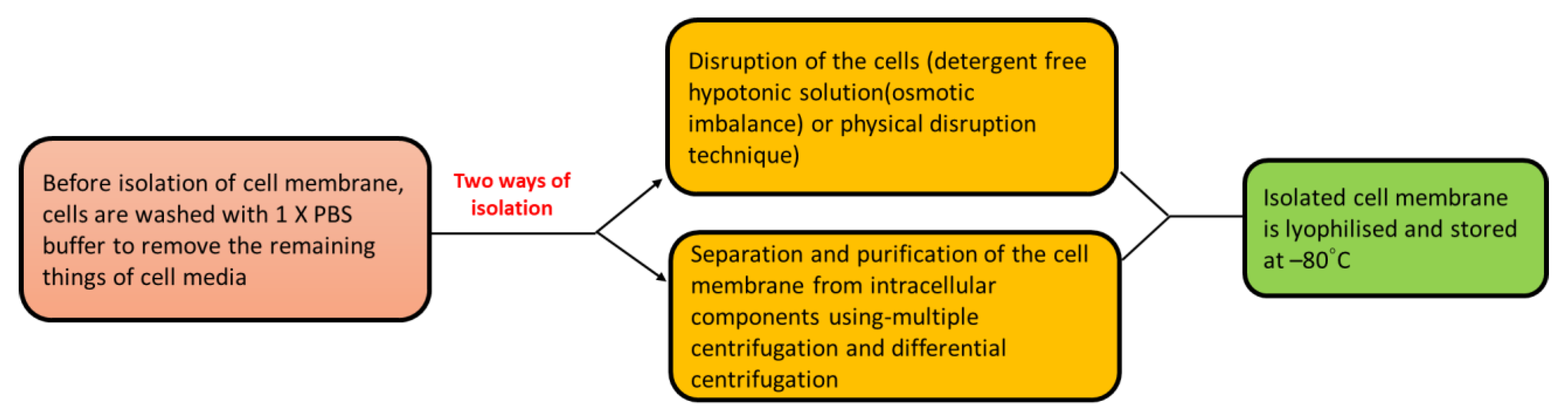 Pharmaceutics 15 01150 g002