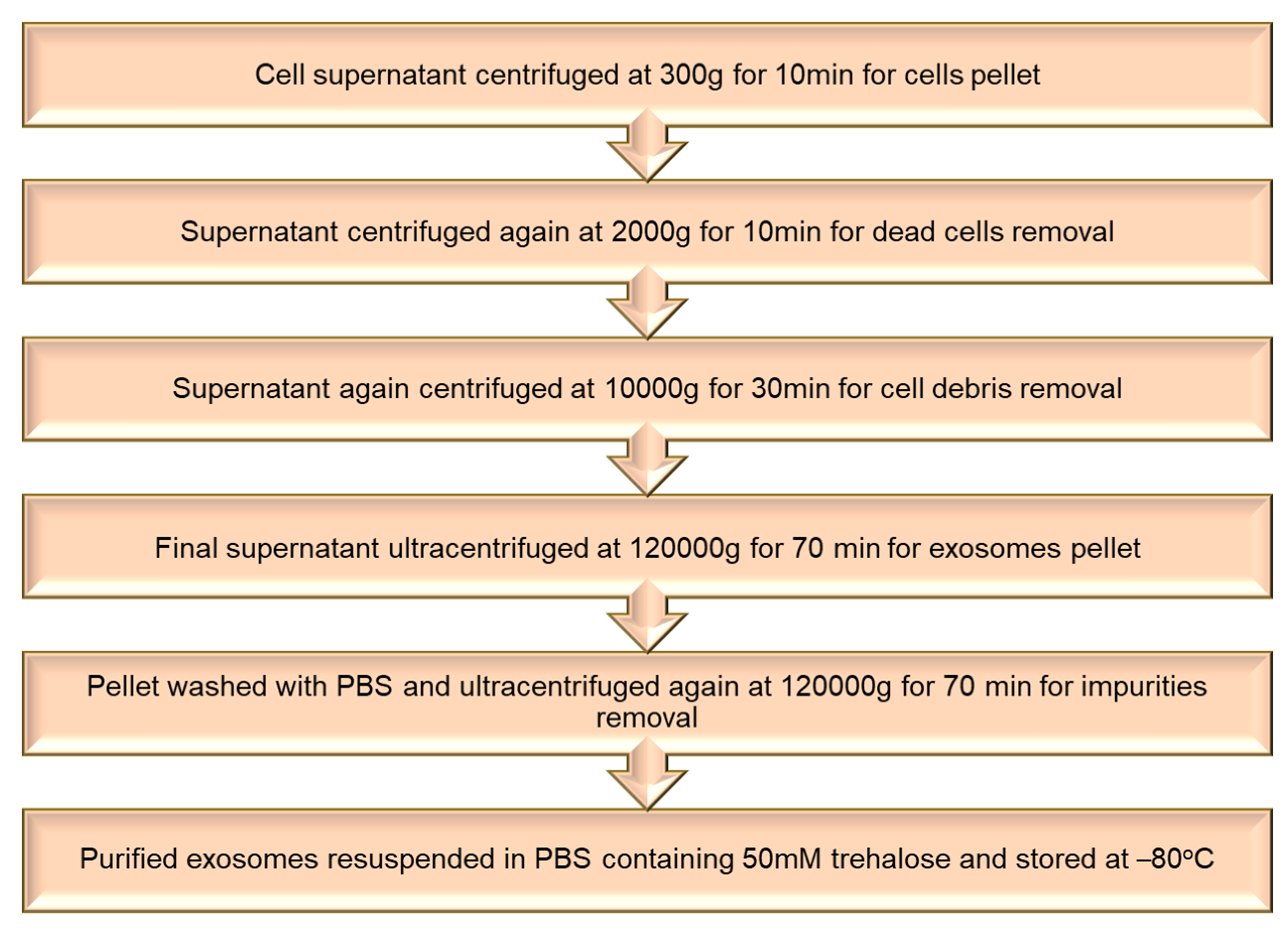 Pharmaceutics 15 01150 g005