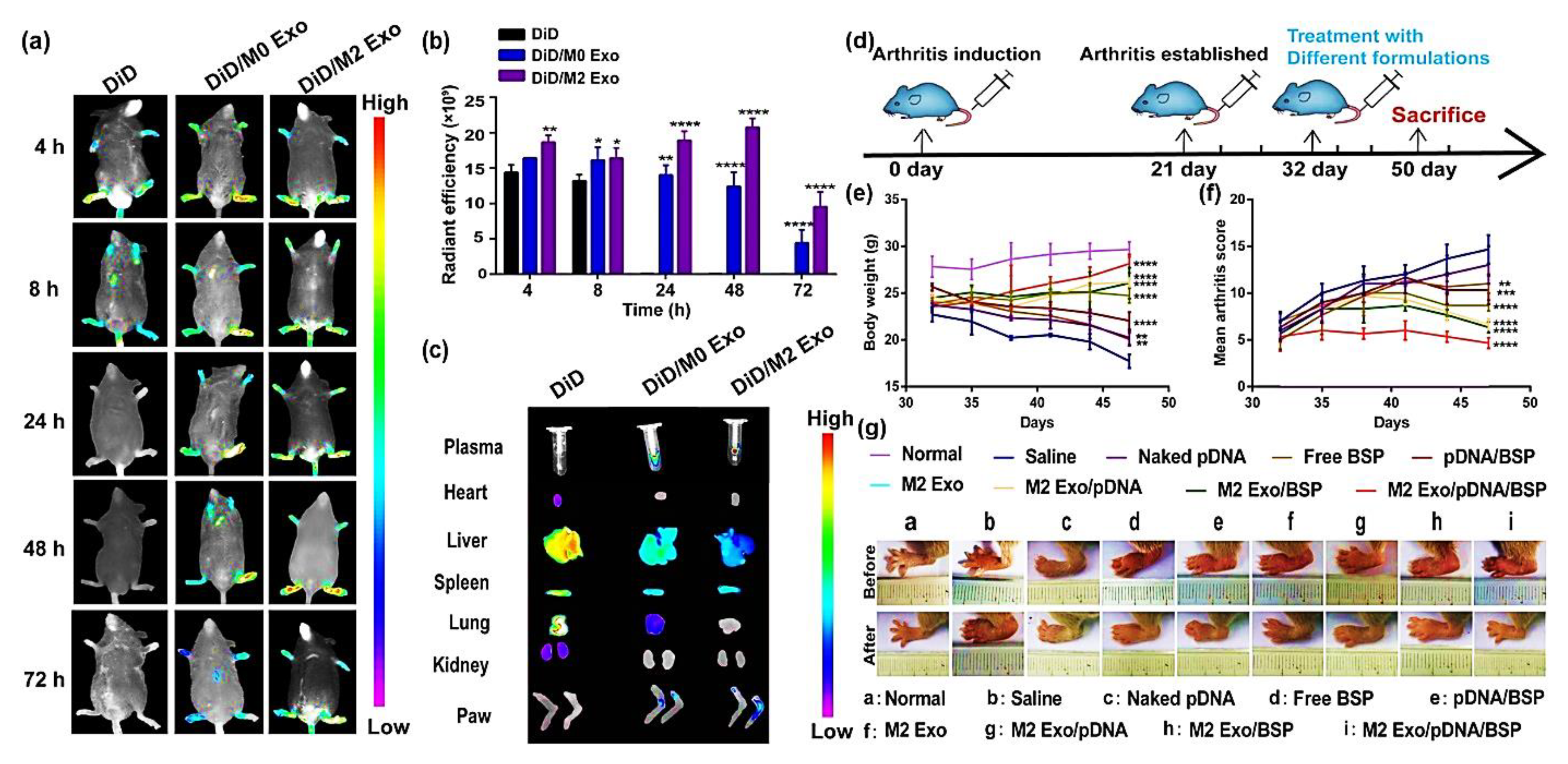 Pharmaceutics 15 01150 g006