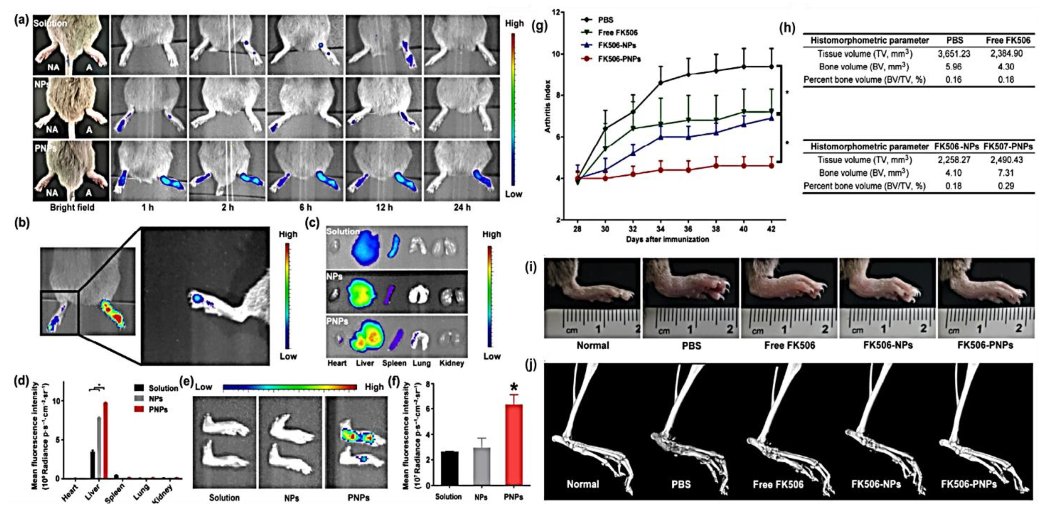 Pharmaceutics 15 01150 g007
