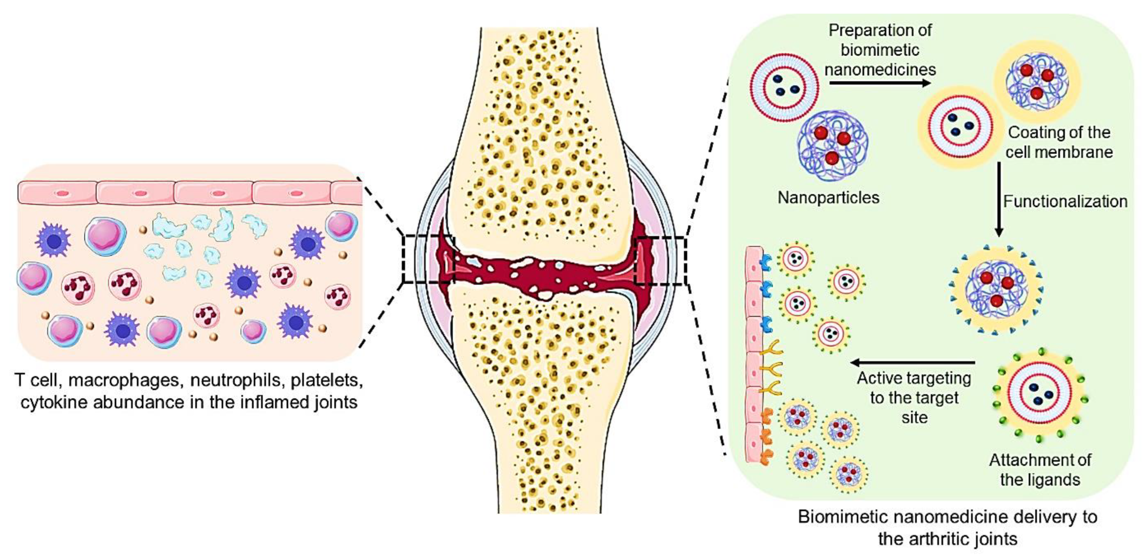 Pharmaceutics 15 01150 g009