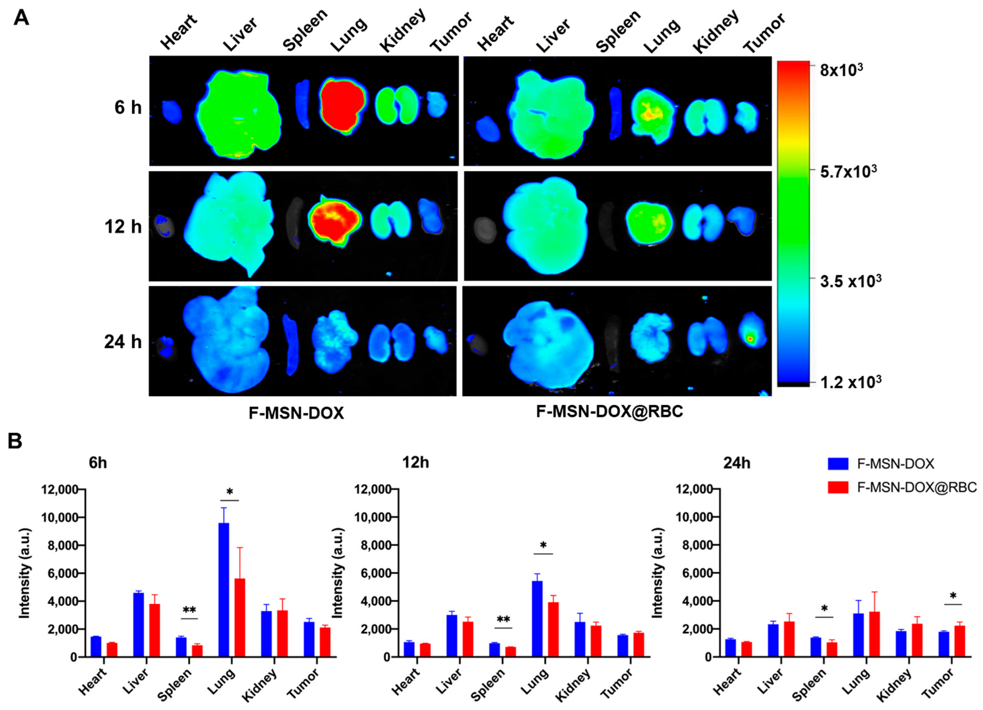 Pharmaceutics 15 01155 g005 Pharmaceutics 15 01155 g005