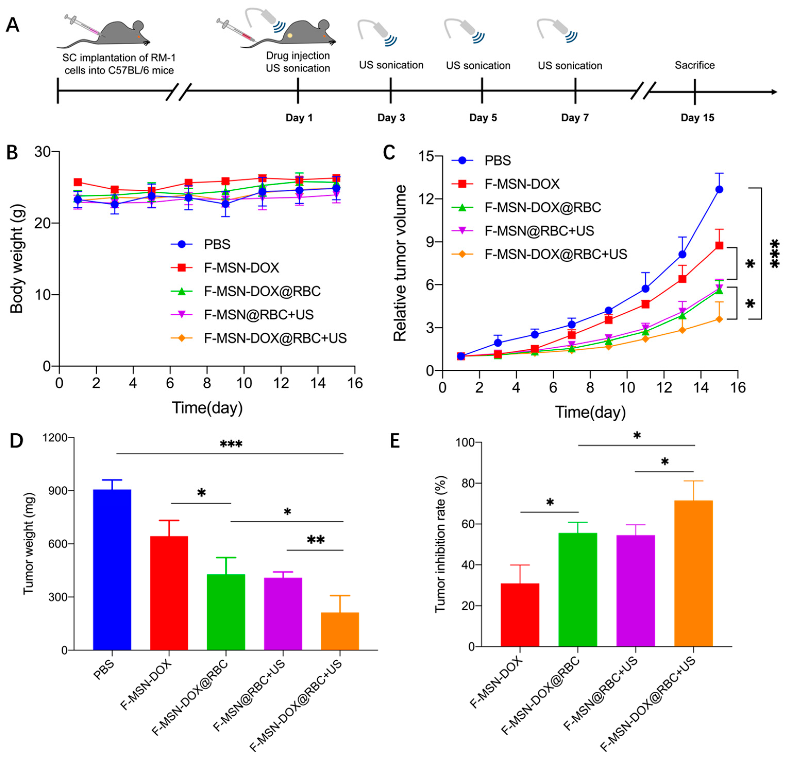 Pharmaceutics 15 01155 g006 Pharmaceutics 15 01155 g006