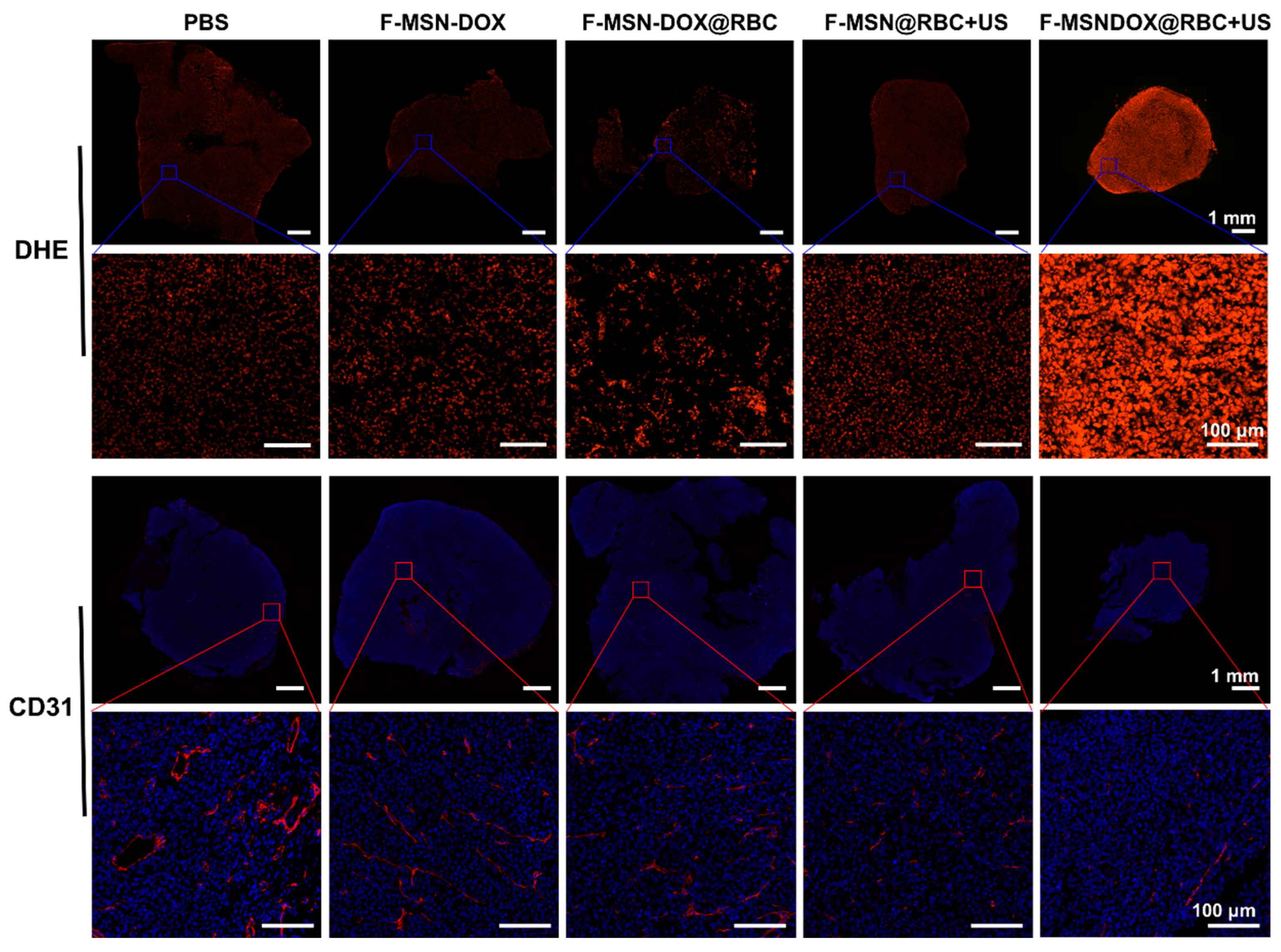 Pharmaceutics 15 01155 g007 Pharmaceutics 15 01155 g007