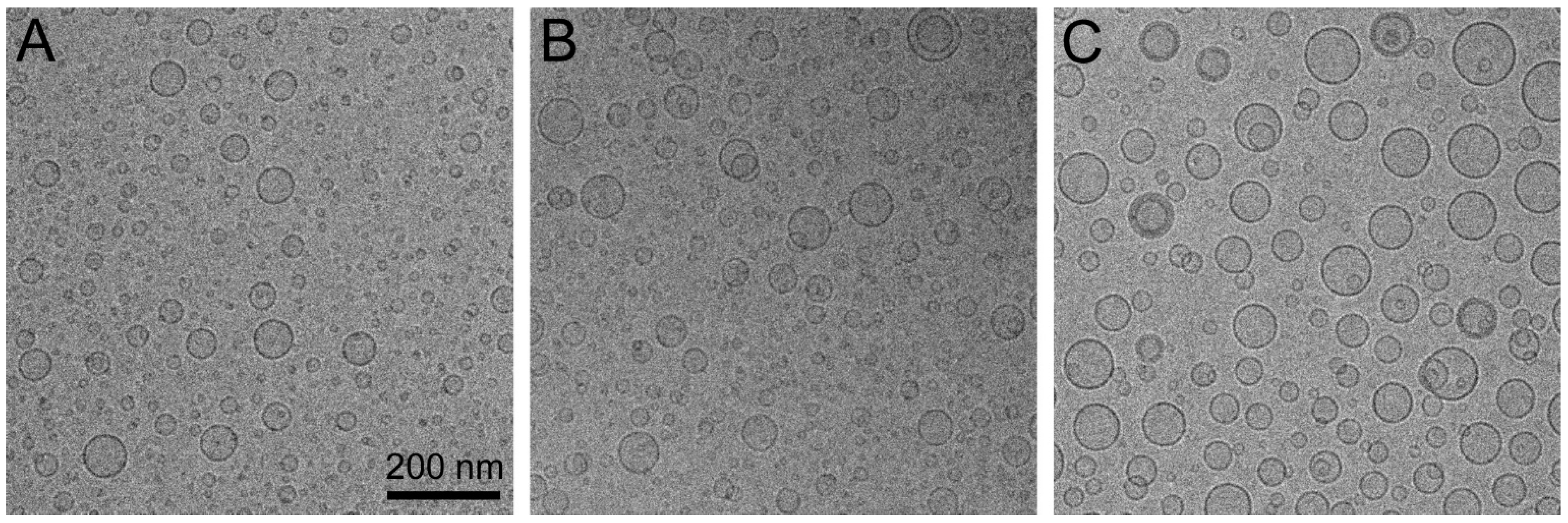 Pharmaceutics 15 01163 g002 Pharmaceutics 15 01163 g002