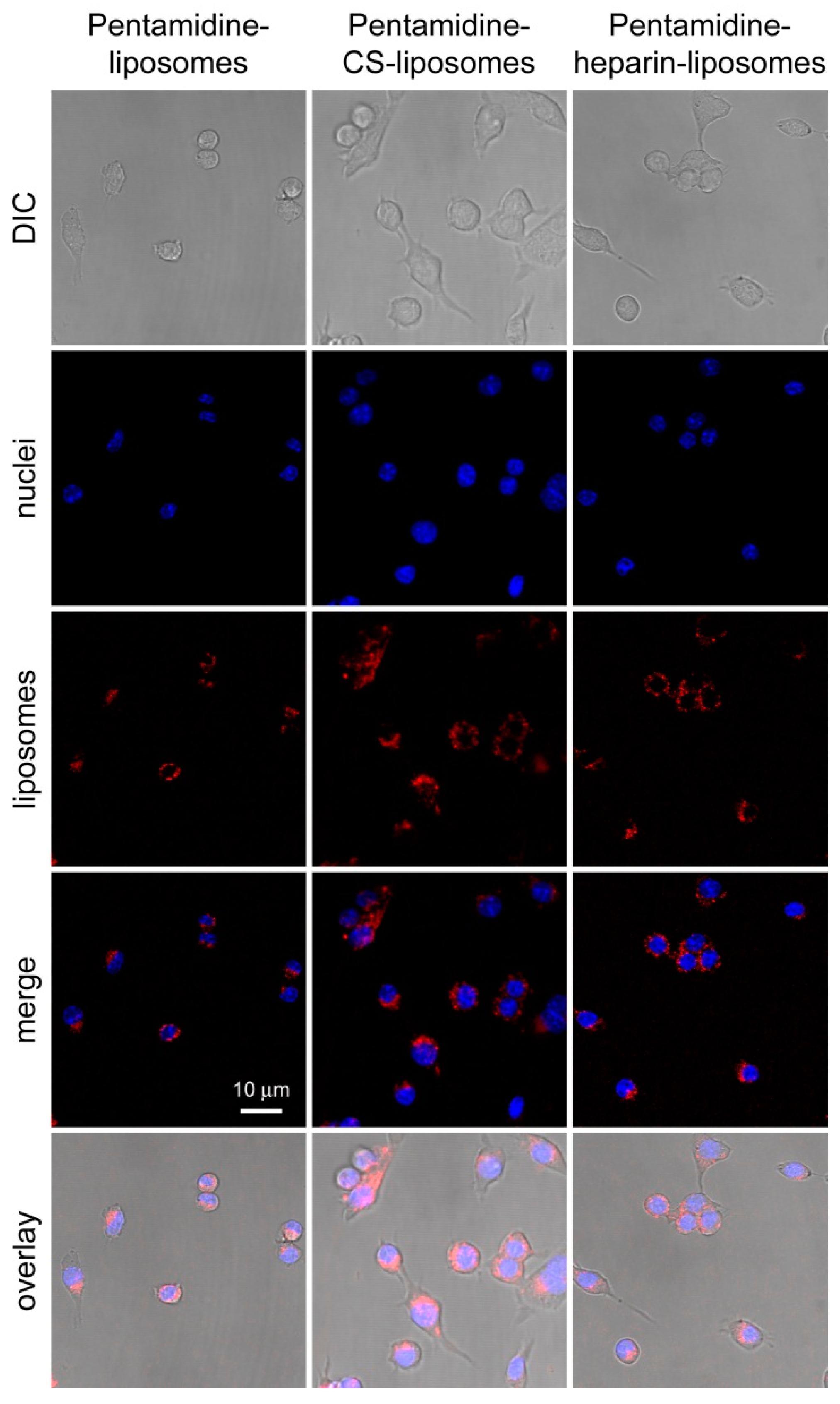 Pharmaceutics 15 01163 g006 Pharmaceutics 15 01163 g006