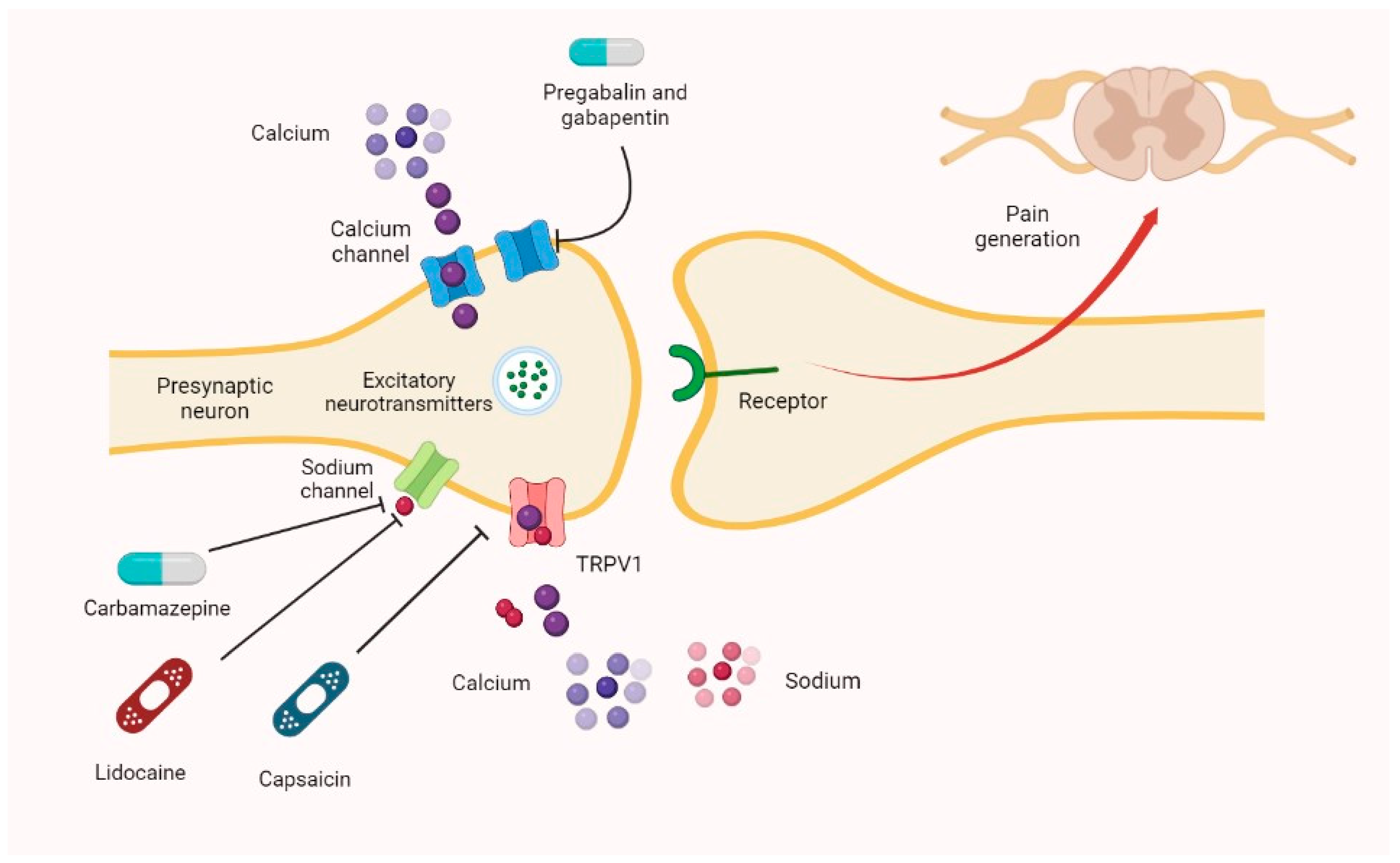 Pharmaceutics Free FullText The Pharmacological Treatment of