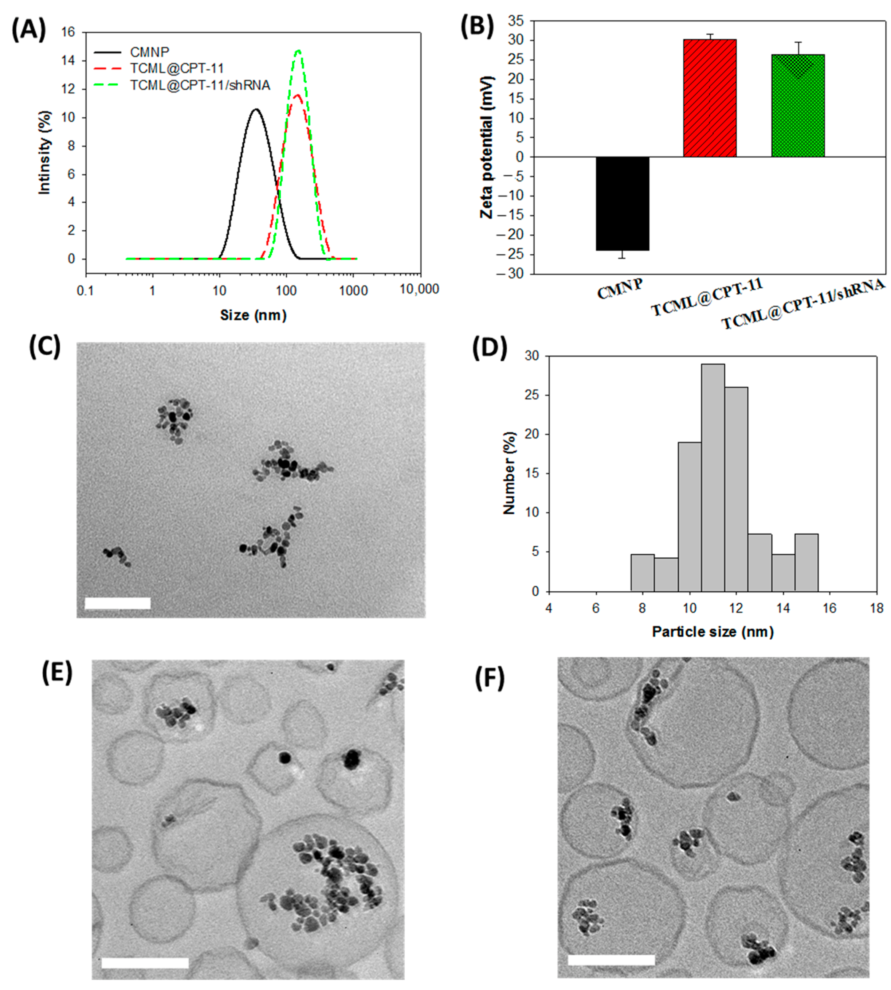 Pharmaceutics 15 01169 g003 Pharmaceutics 15 01169 g003