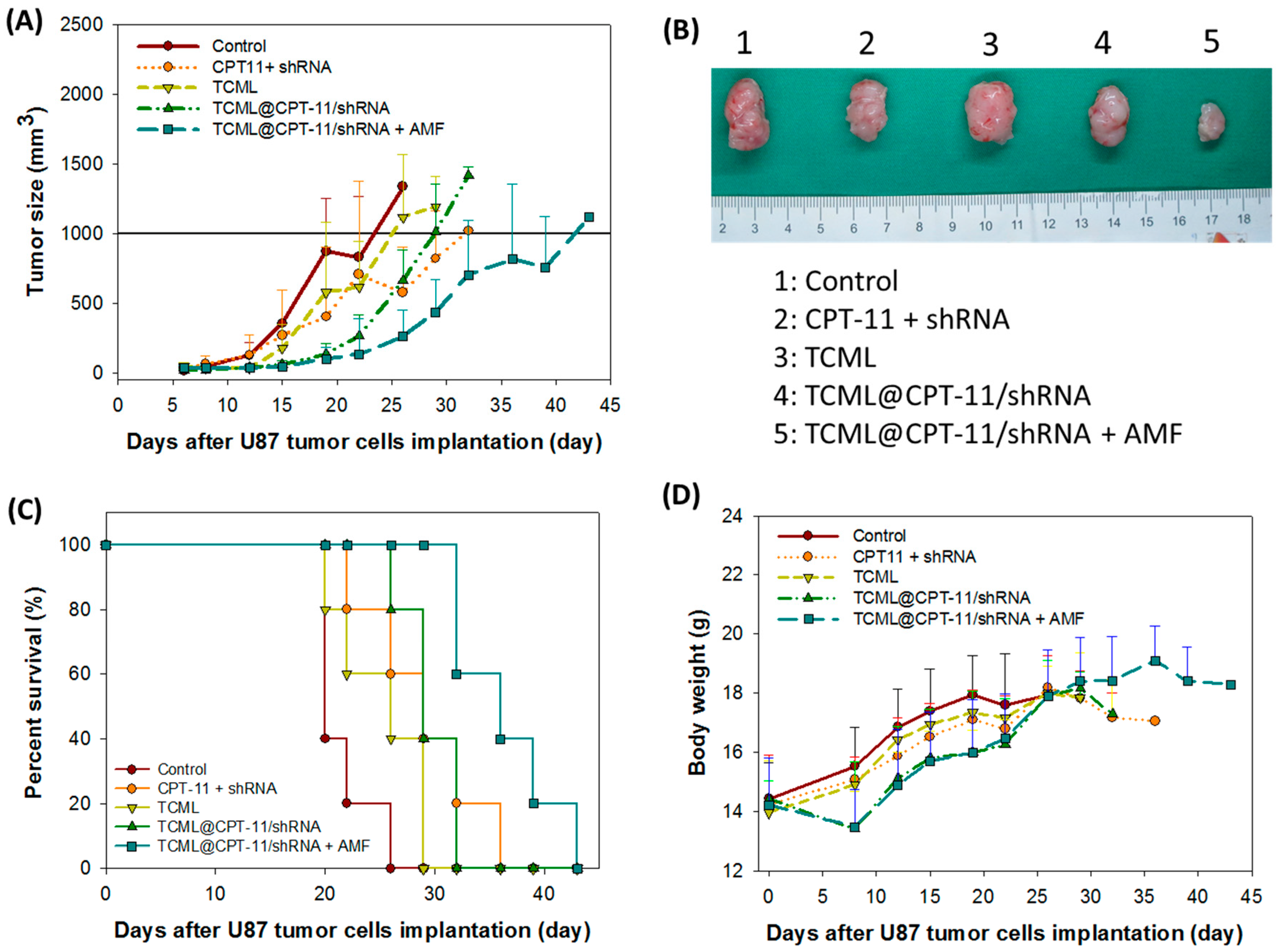 Pharmaceutics 15 01169 g011 Pharmaceutics 15 01169 g011
