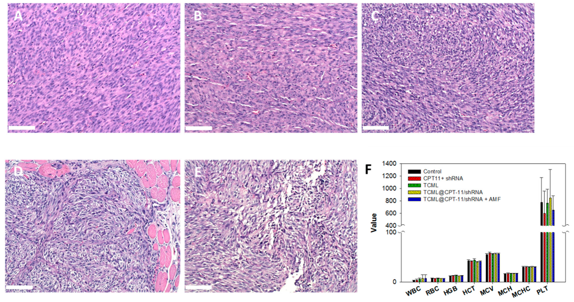 Pharmaceutics 15 01169 g012 Pharmaceutics 15 01169 g012
