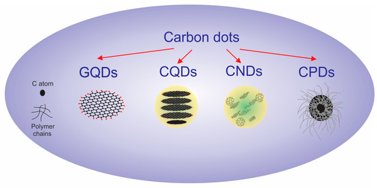 Lights and Dots toward Therapy—Carbon-Based Quantum Dots as New Agents ...