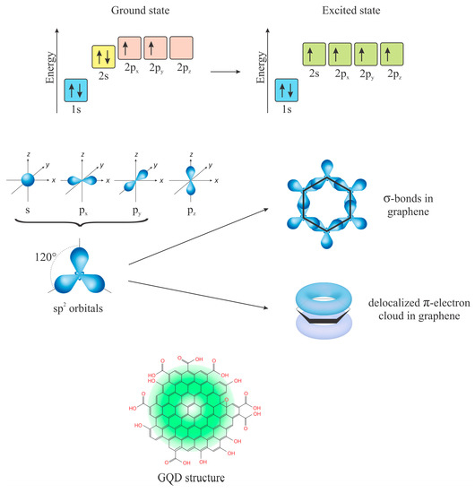 Lights and Dots toward Therapy—Carbon-Based Quantum Dots as