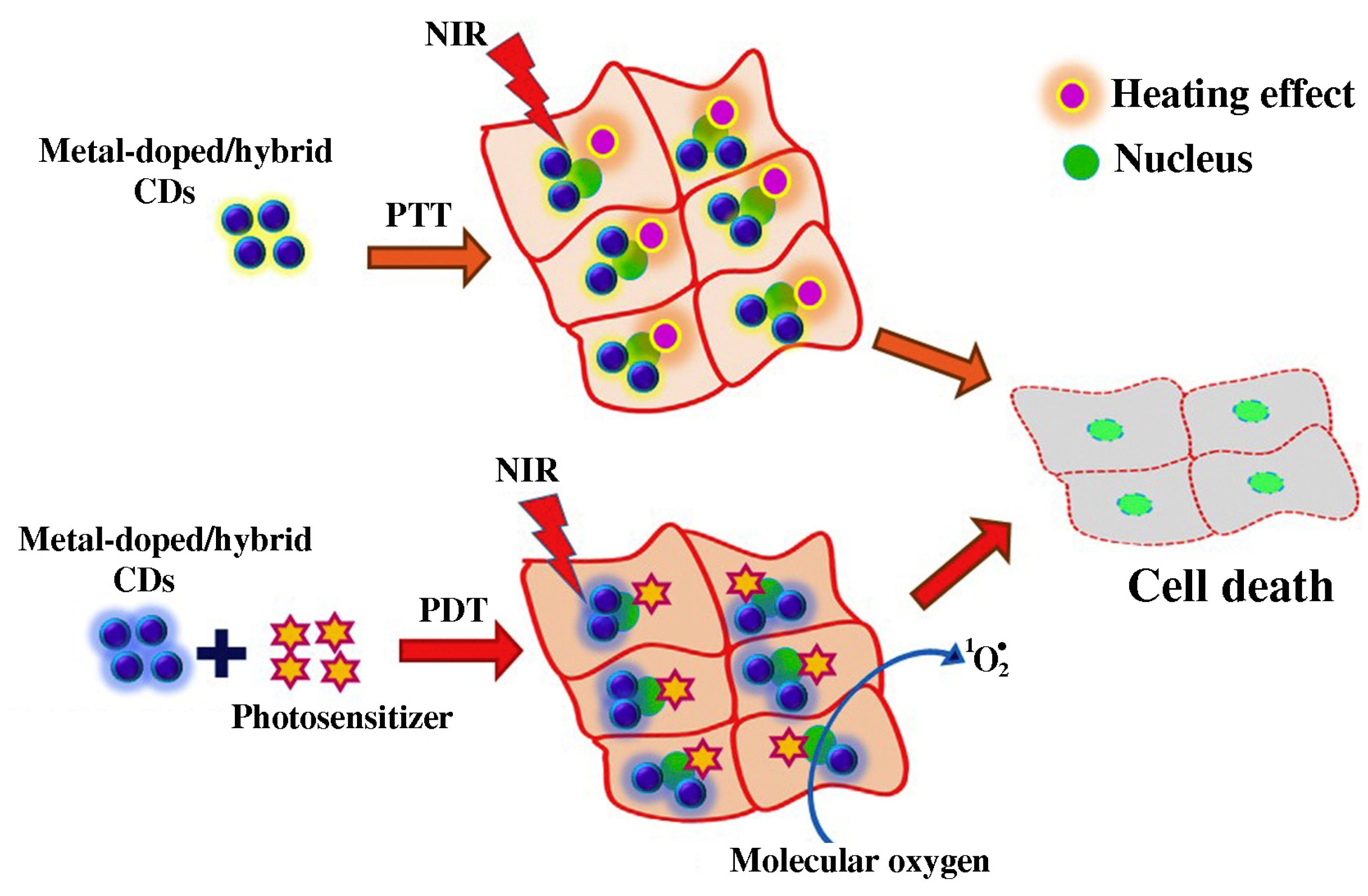 Pharmaceutics 15 01170 g007