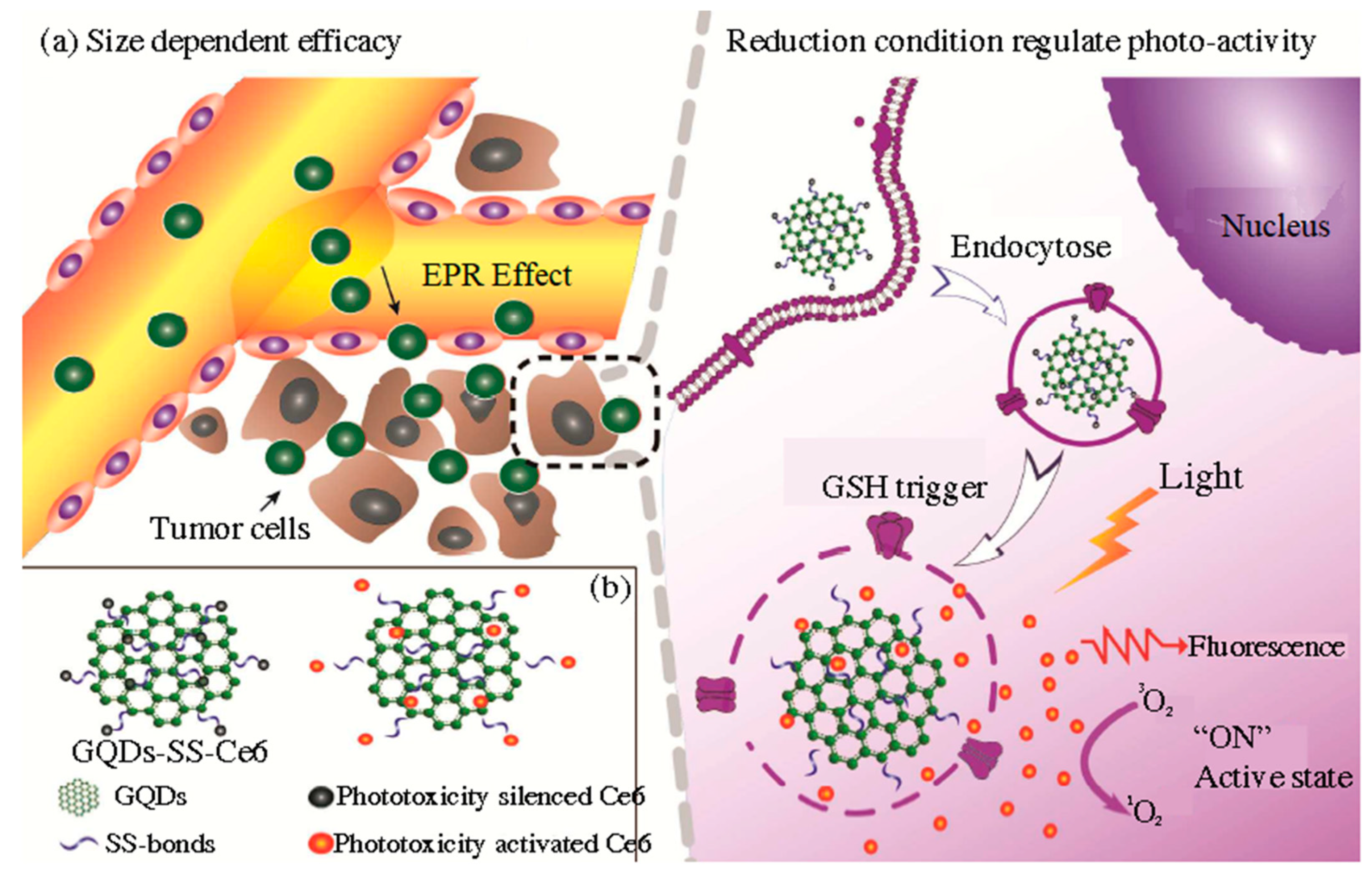 Pharmaceutics 15 01170 g010