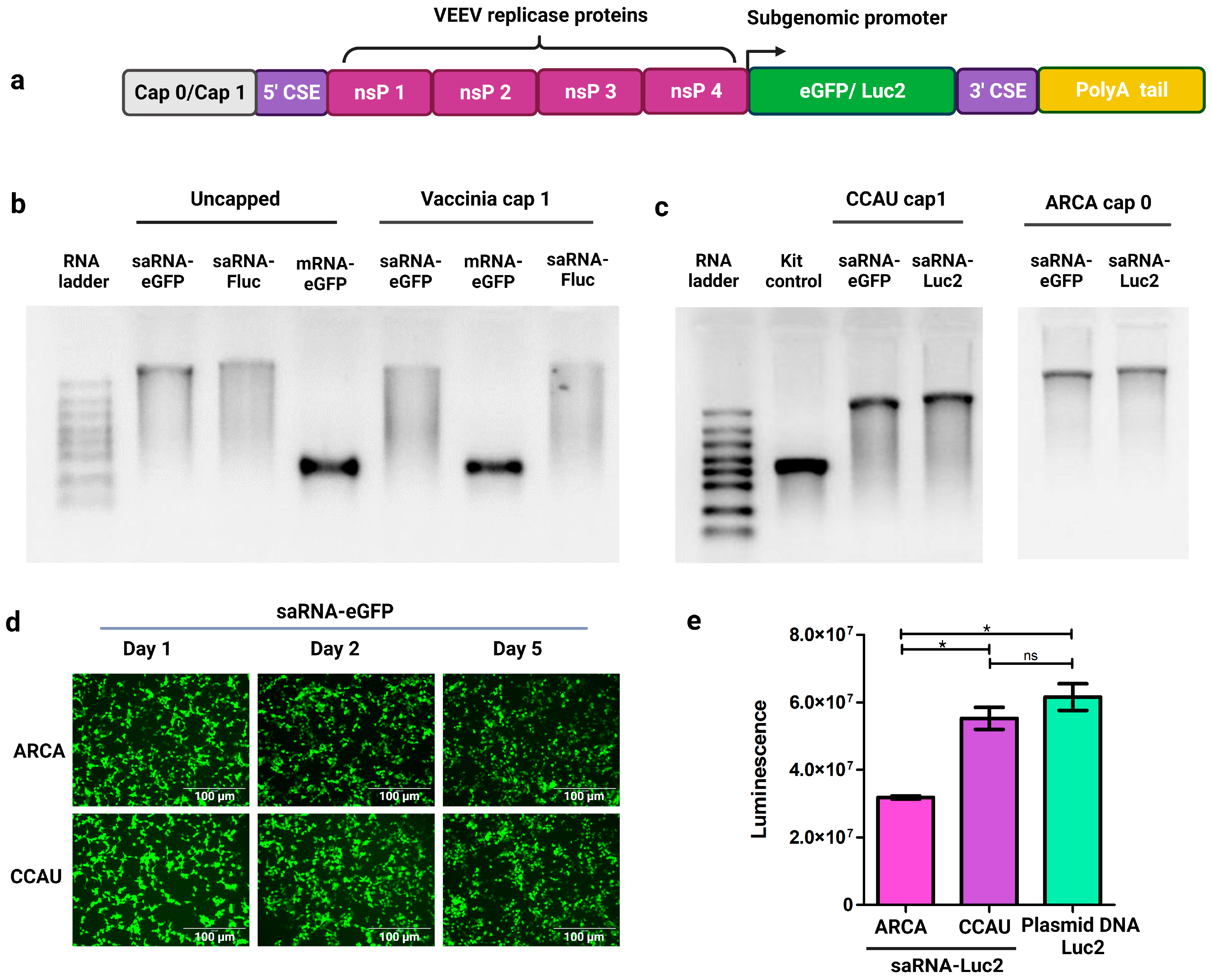Pharmaceutics 15 01173 g001 Pharmaceutics 15 01173 g001