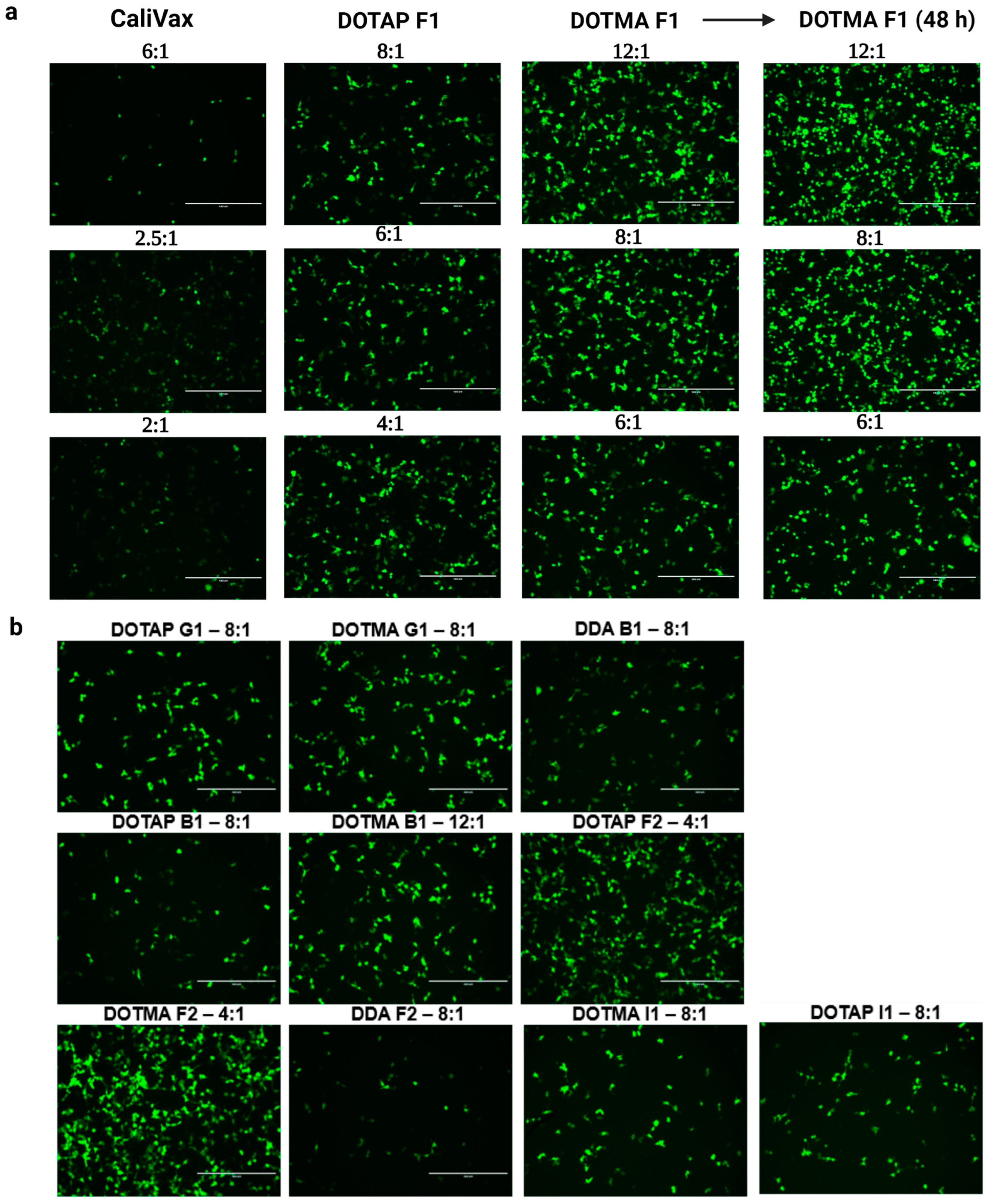 Pharmaceutics 15 01173 g004 Pharmaceutics 15 01173 g004