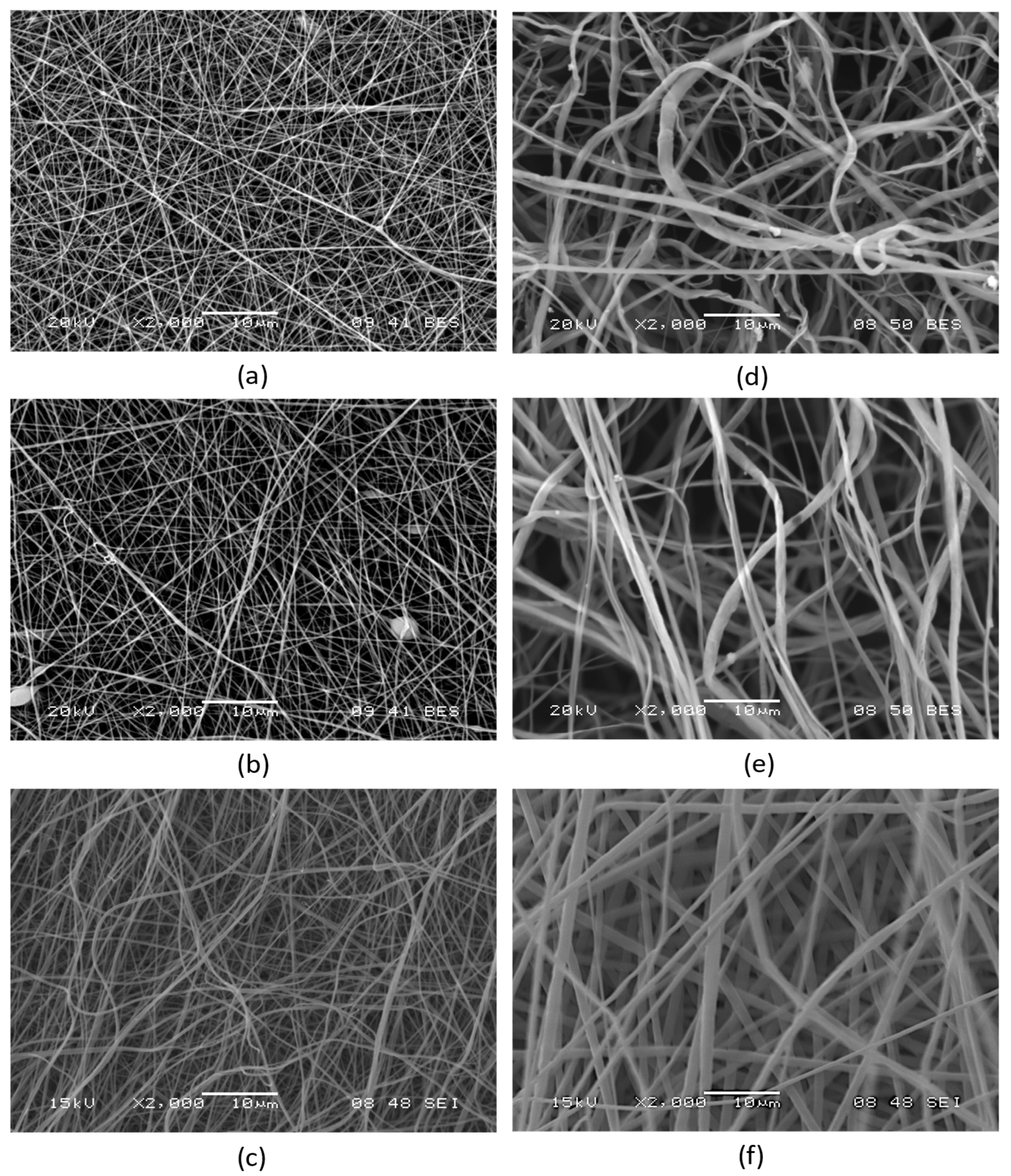 Pharmaceutics 15 01174 g002