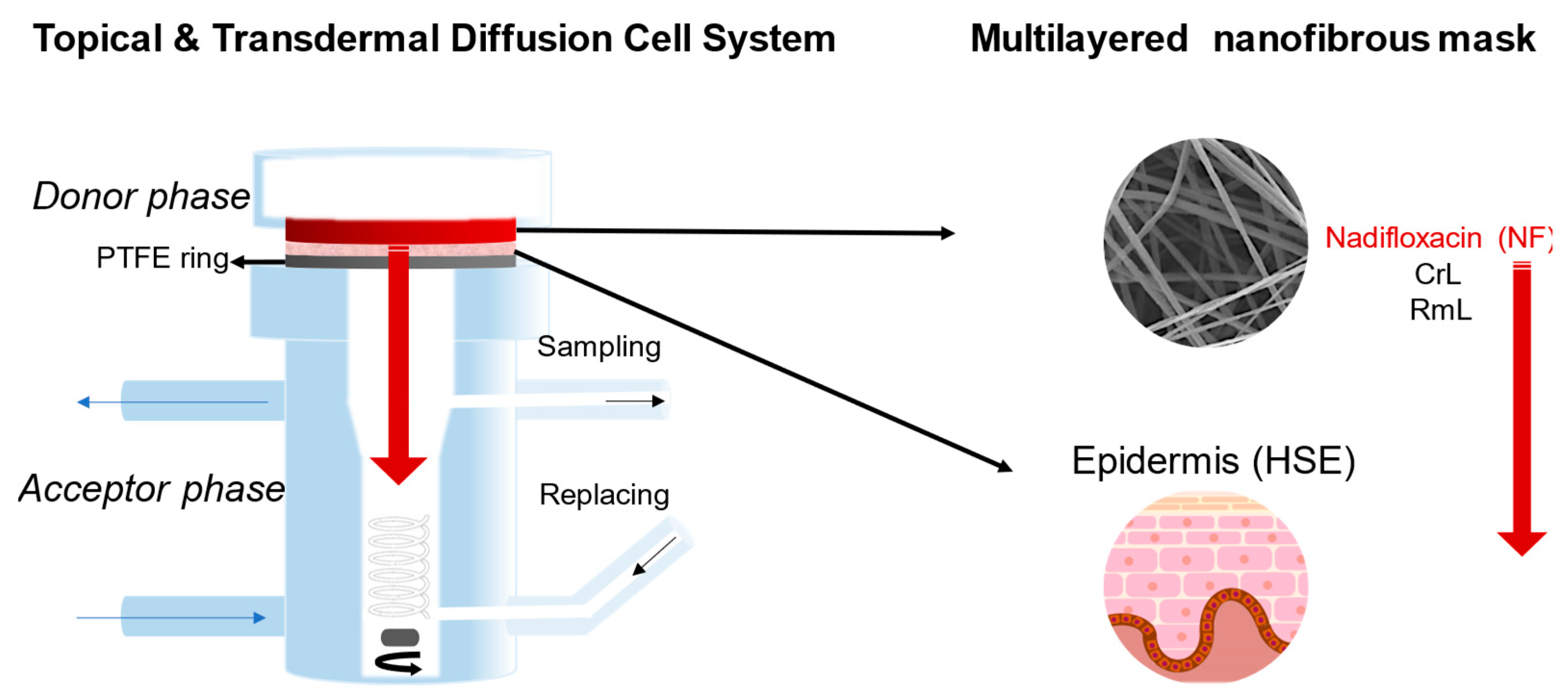 Pharmaceutics 15 01174 g009