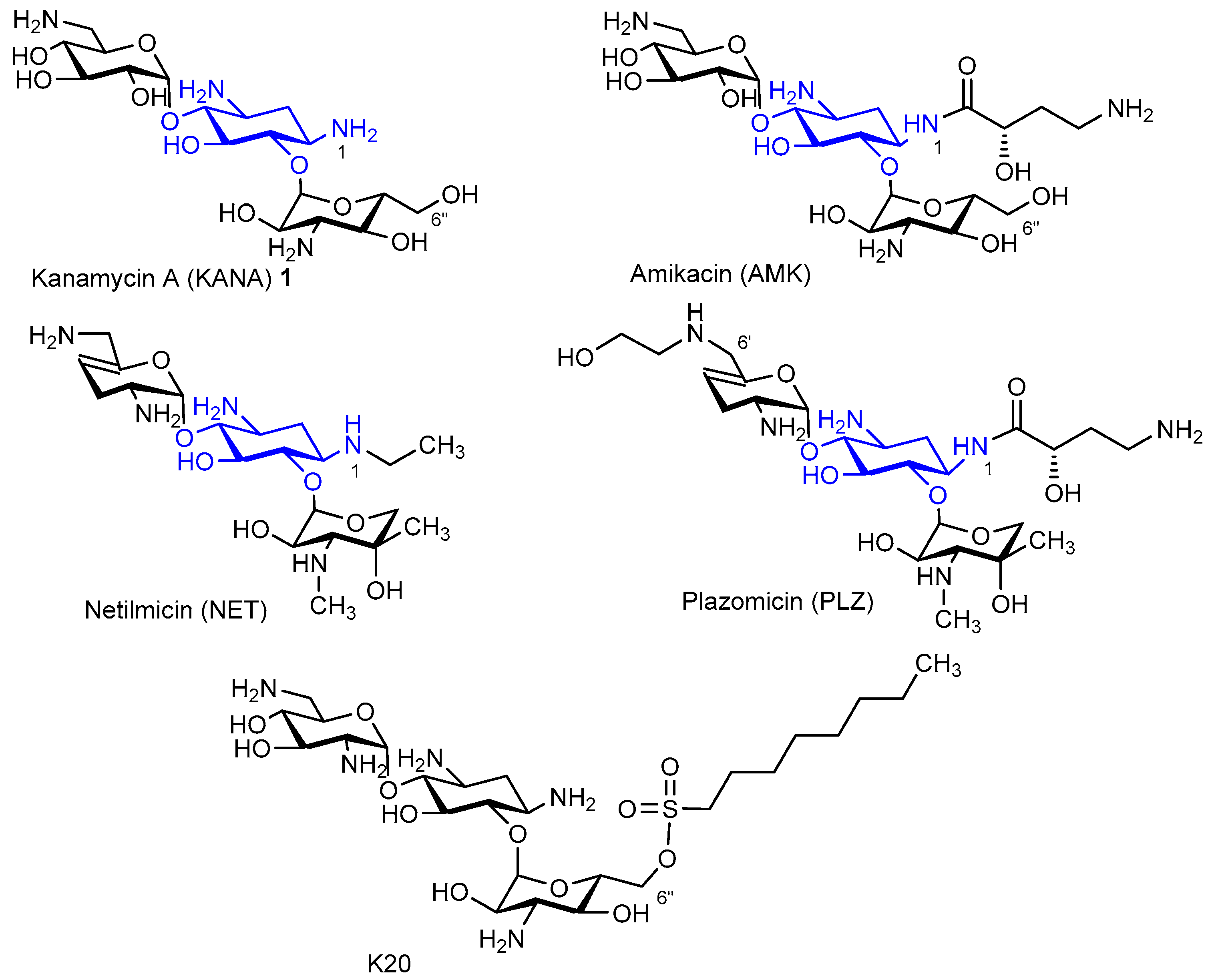 Pharmaceutics 15 01177 g001