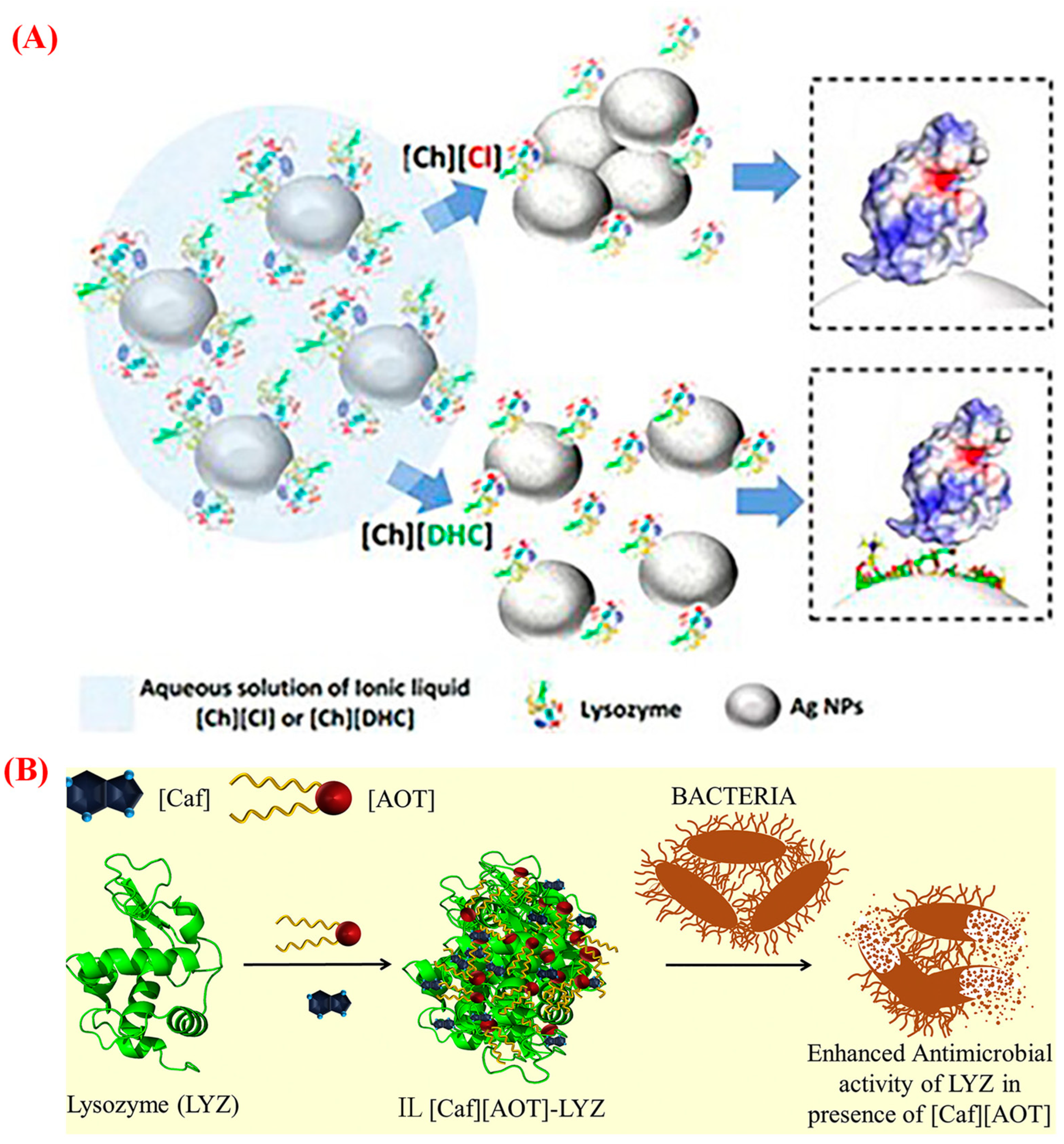 Pharmaceutics 15 01179 g005 Pharmaceutics 15 01179 g005