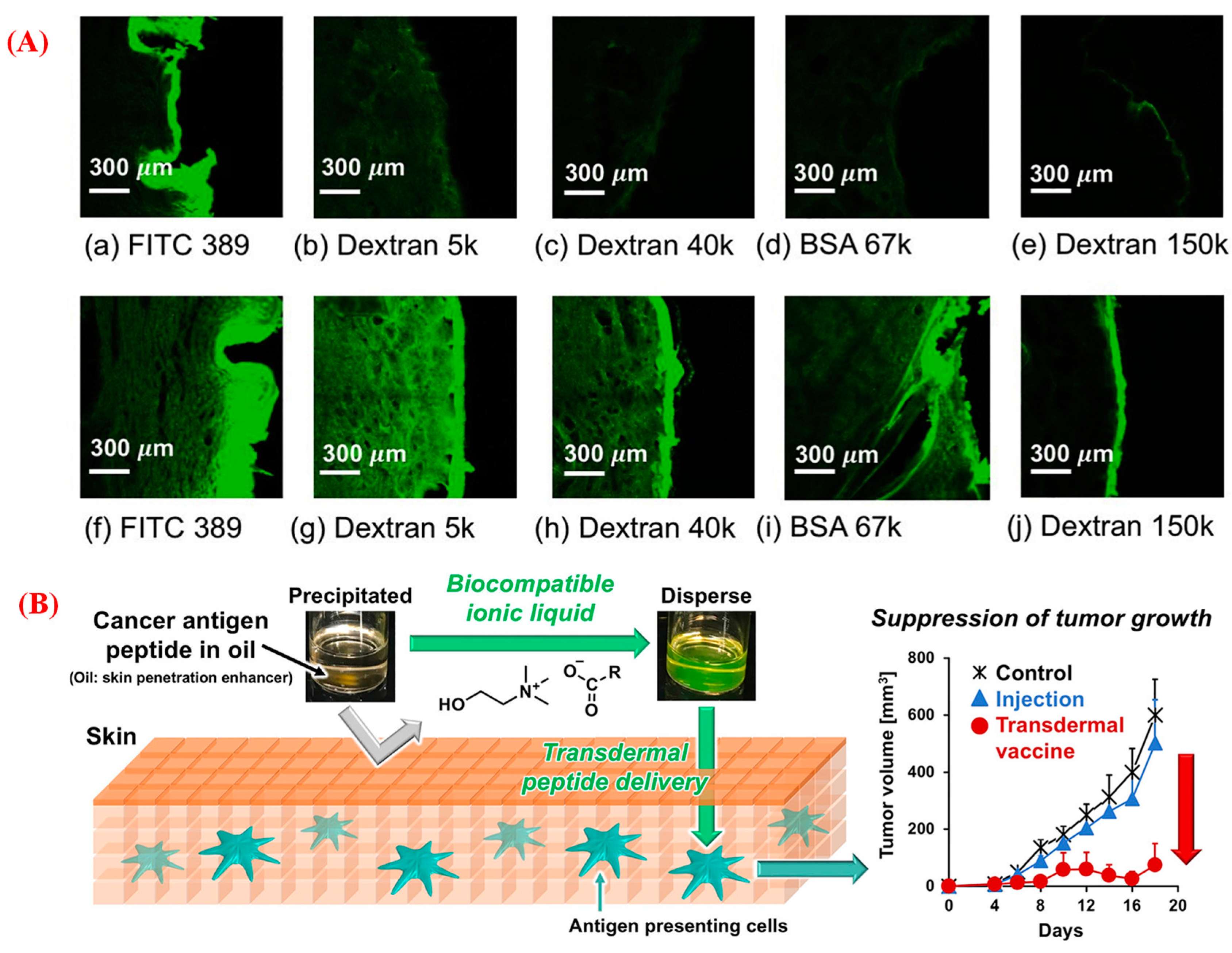 Pharmaceutics 15 01179 g008 Pharmaceutics 15 01179 g008