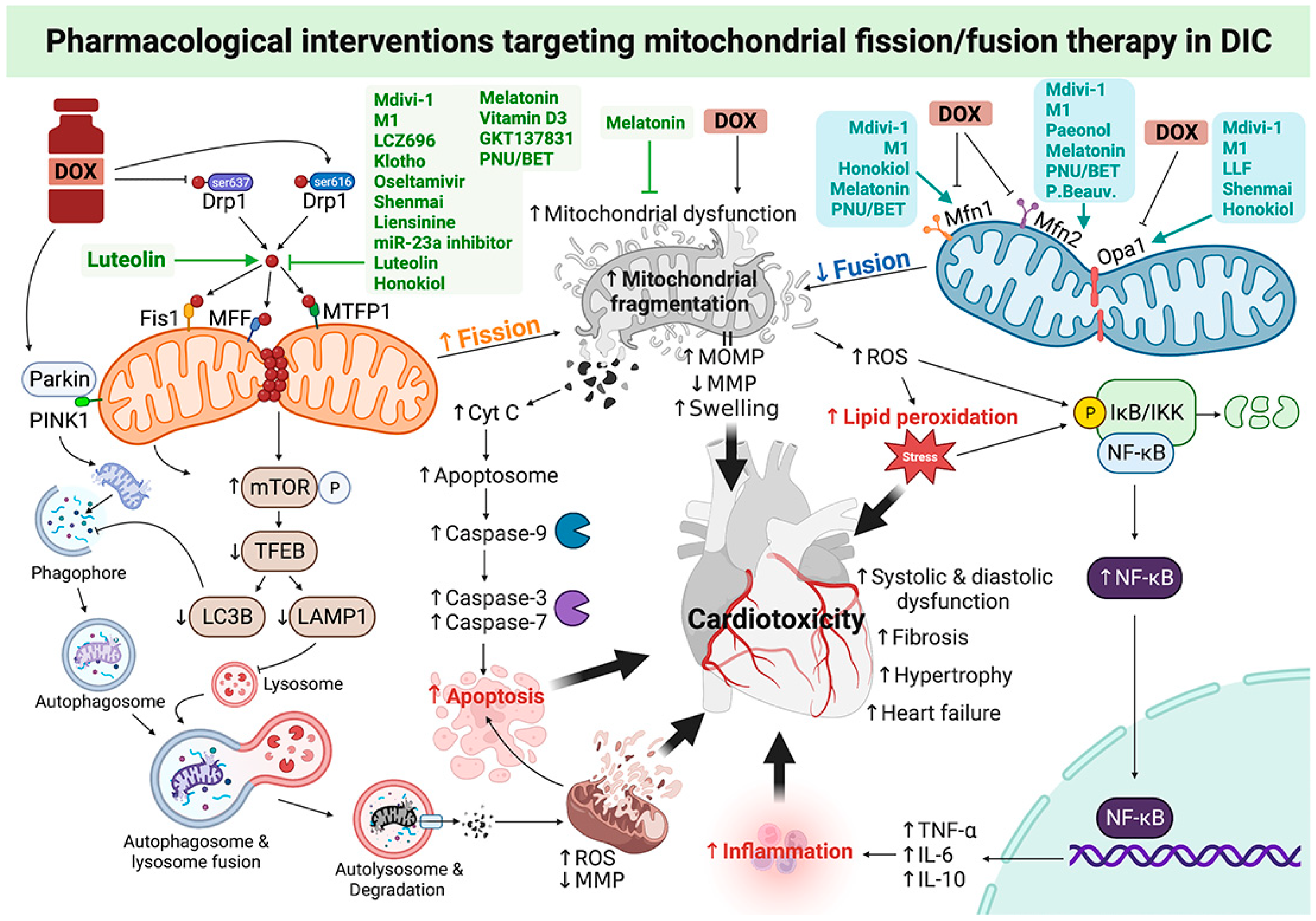 Pharmaceutics 15 01182 g002
