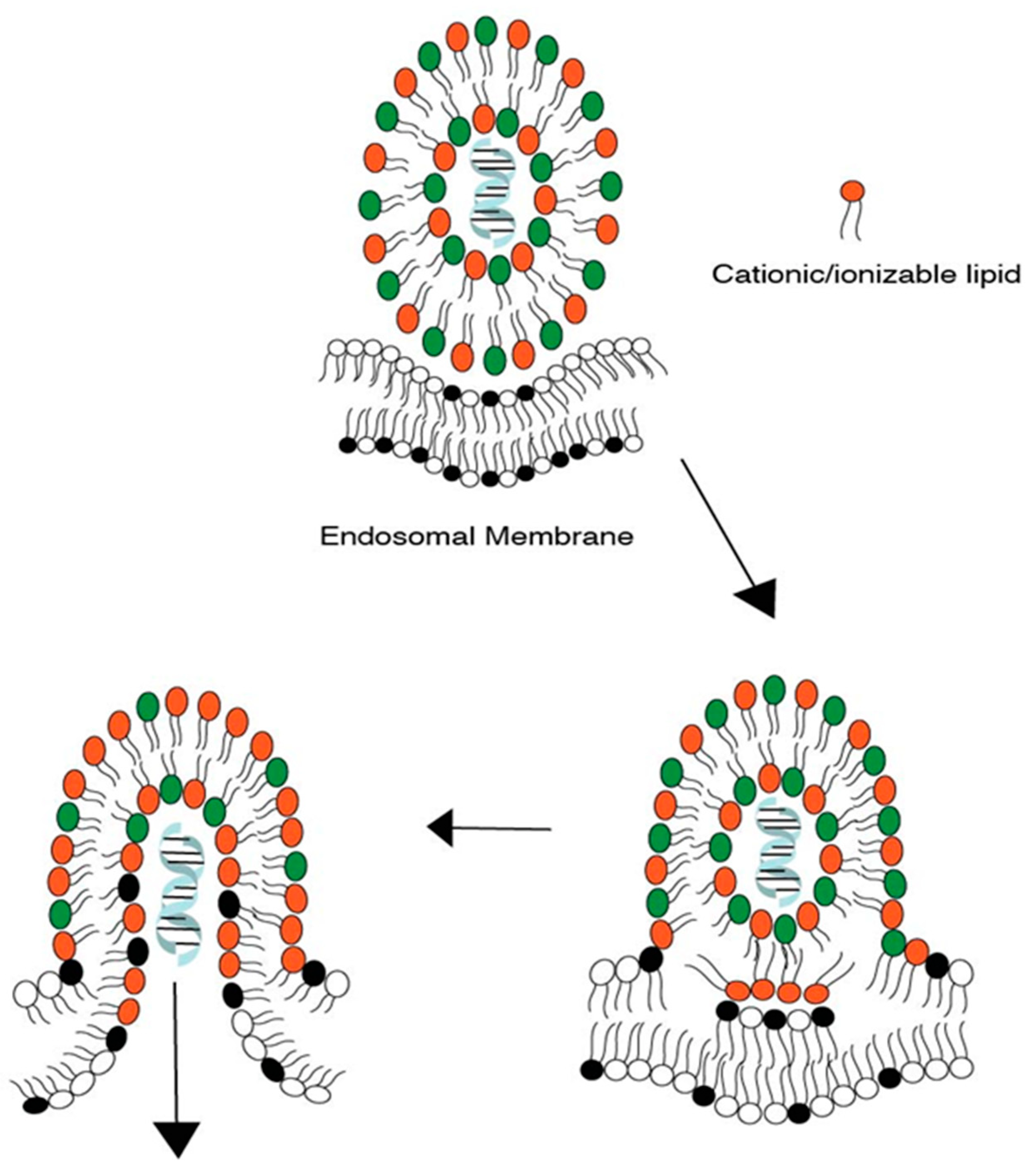 Pharmaceutics 15 01184 g002 Pharmaceutics 15 01184 g002