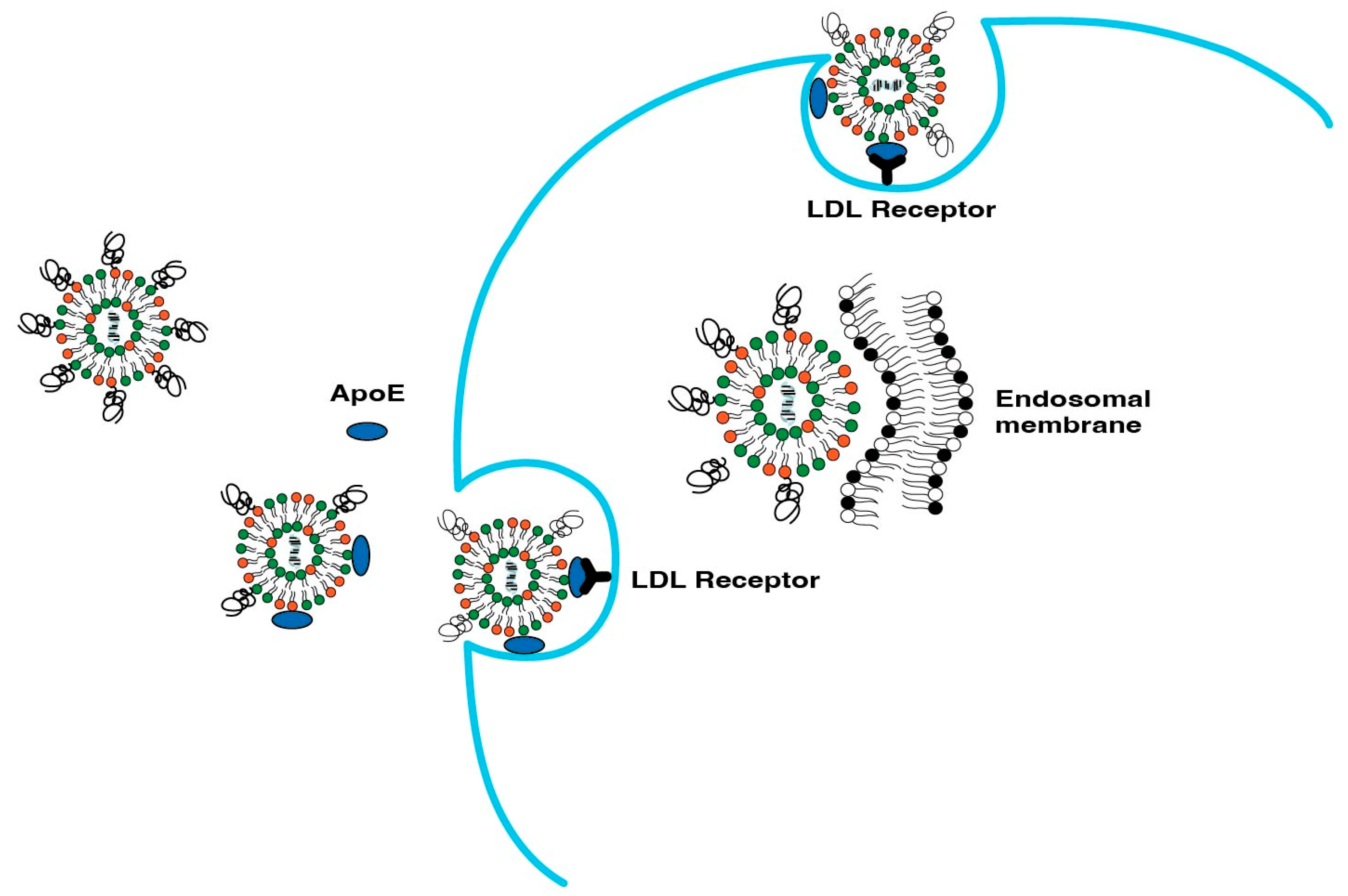 Pharmaceutics 15 01184 g005 Pharmaceutics 15 01184 g005
