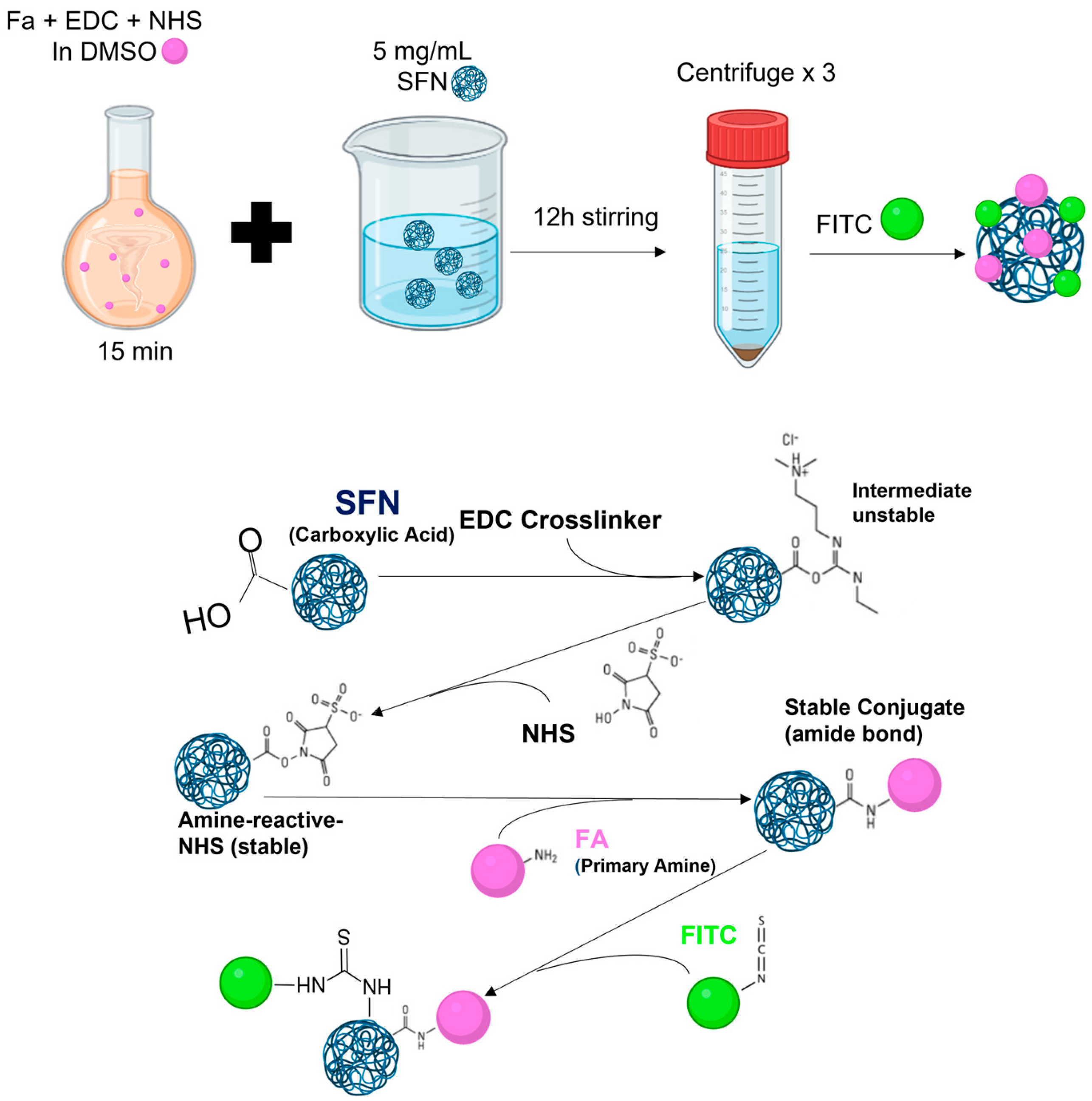 Pharmaceutics 15 01186 g002 Pharmaceutics 15 01186 g002