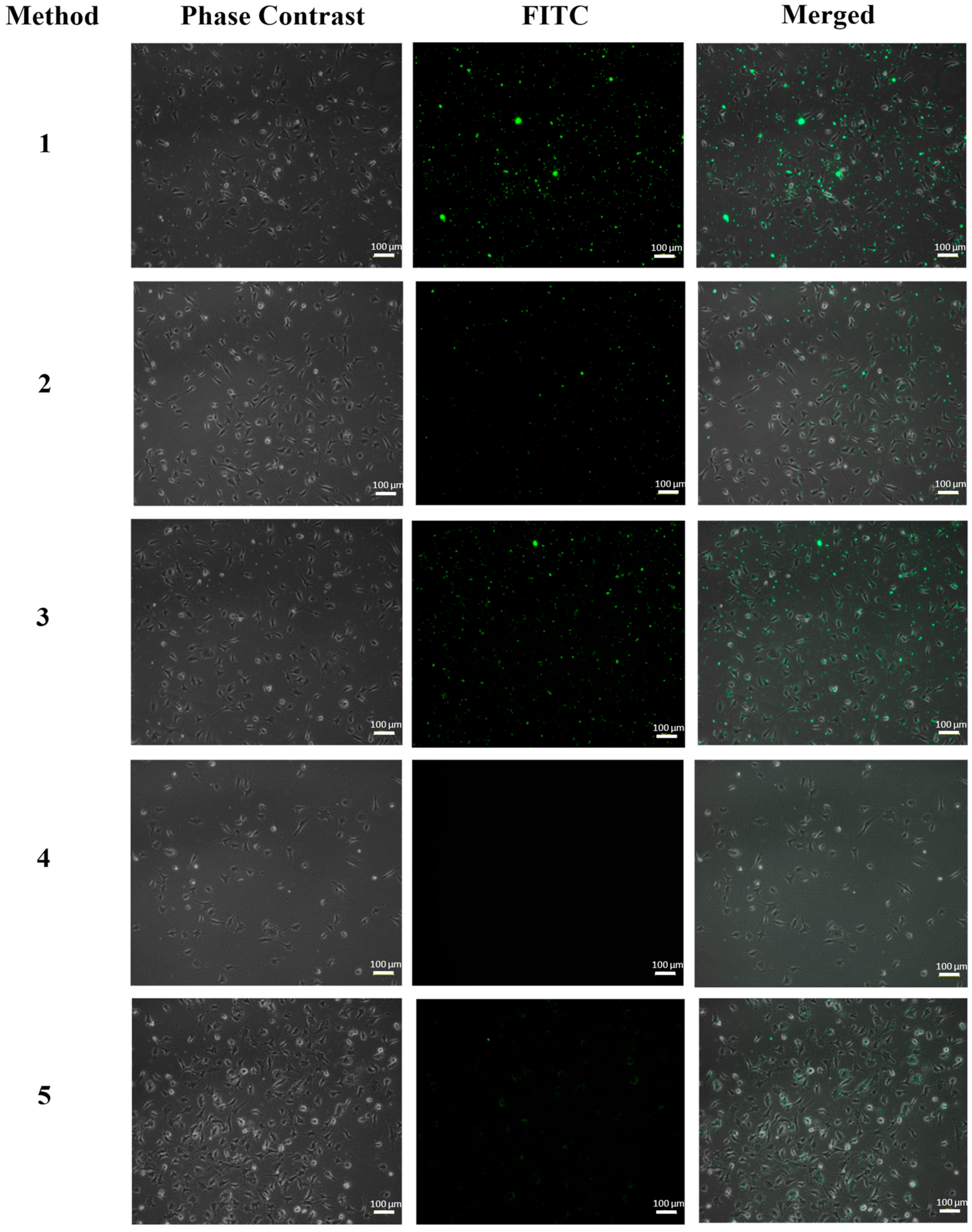Pharmaceutics 15 01186 g008 Pharmaceutics 15 01186 g008