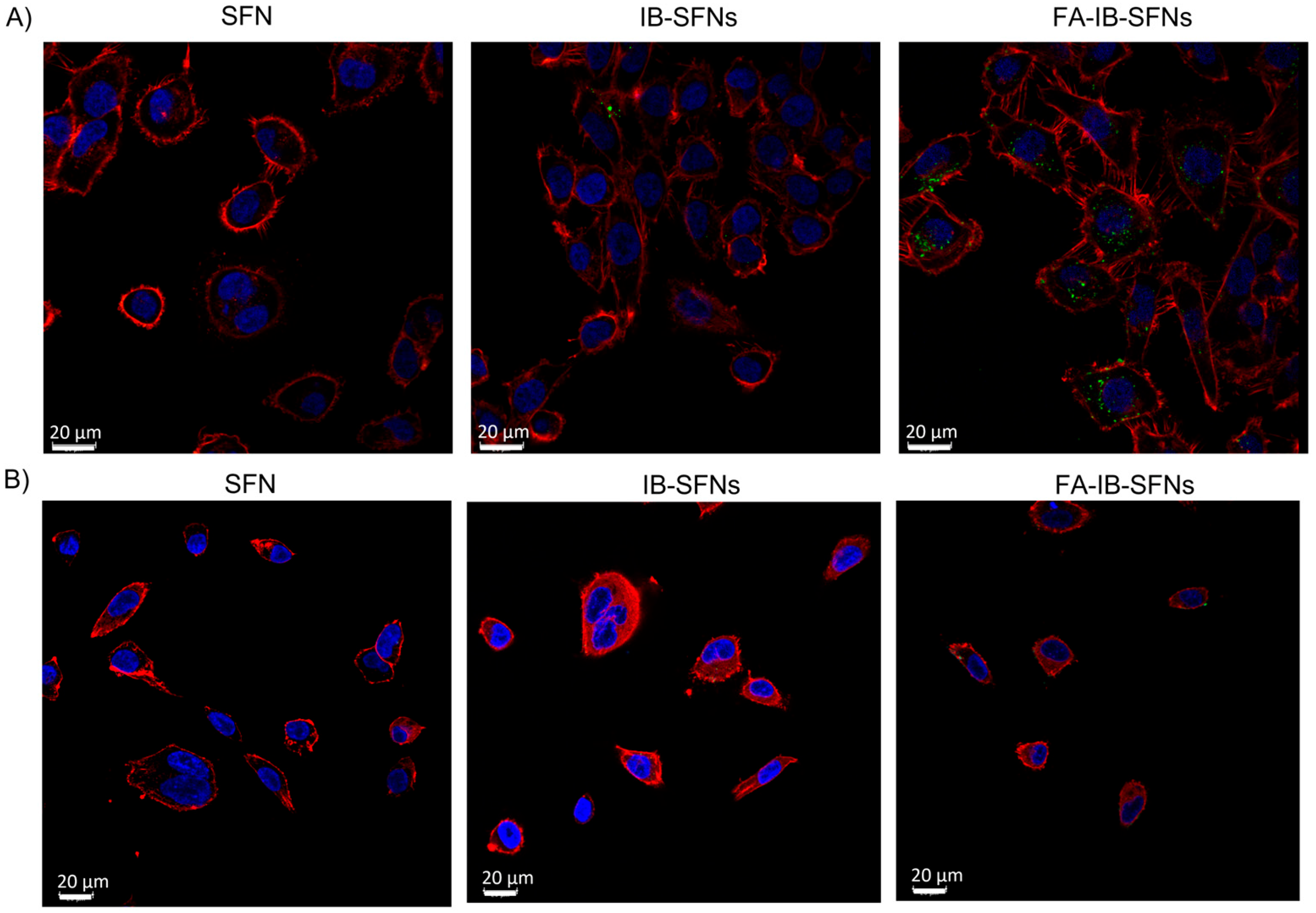 Pharmaceutics 15 01186 g016 Pharmaceutics 15 01186 g016