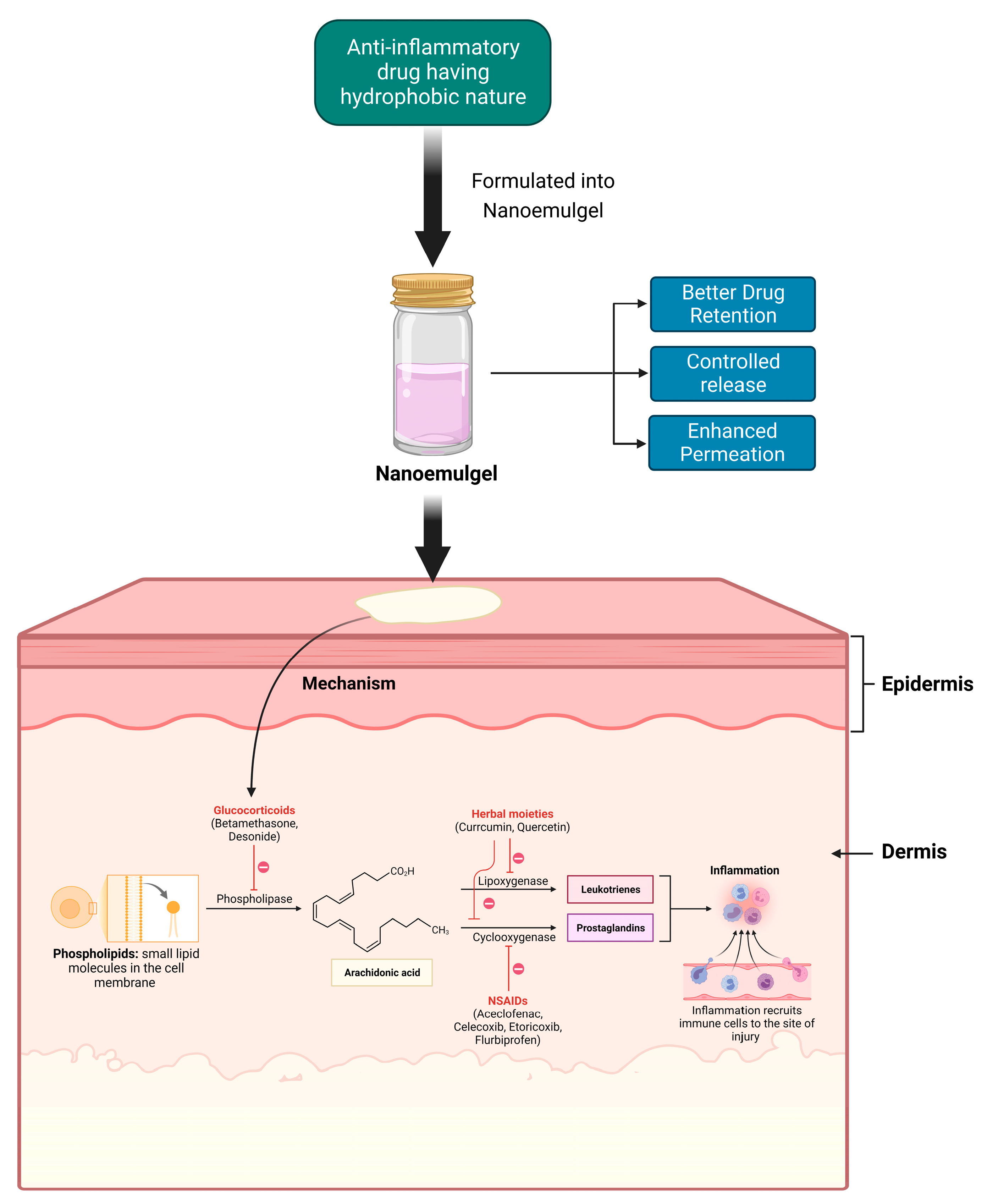 Pharmaceutics 15 01187 g001 Pharmaceutics 15 01187 g001