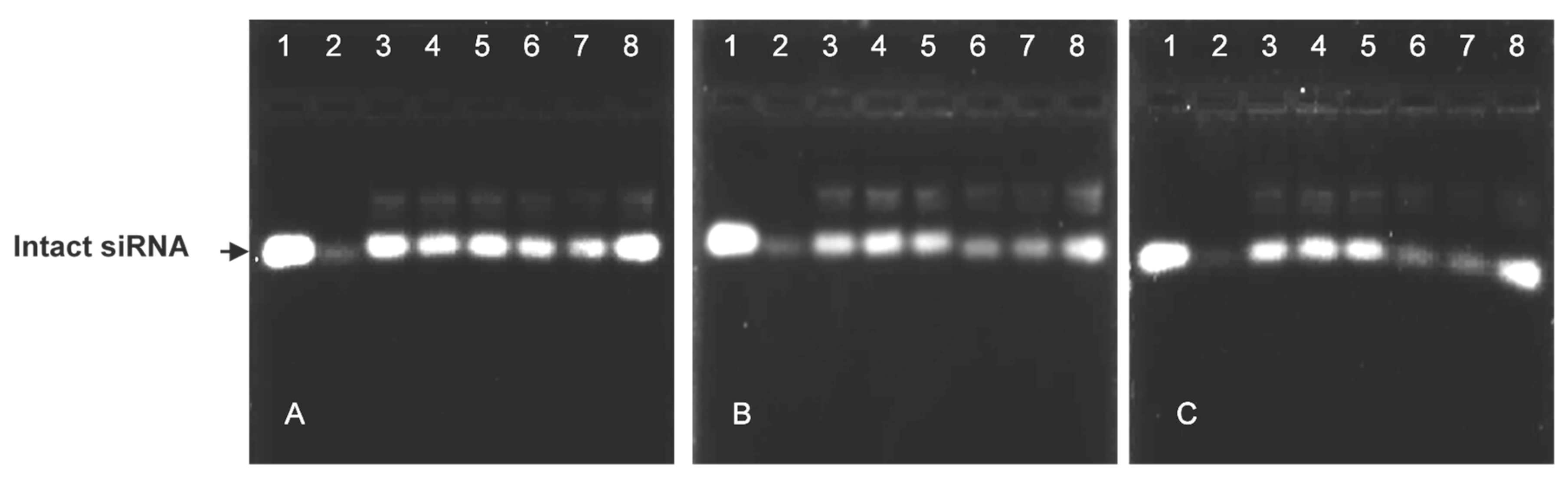 Pharmaceutics 15 01190 g003