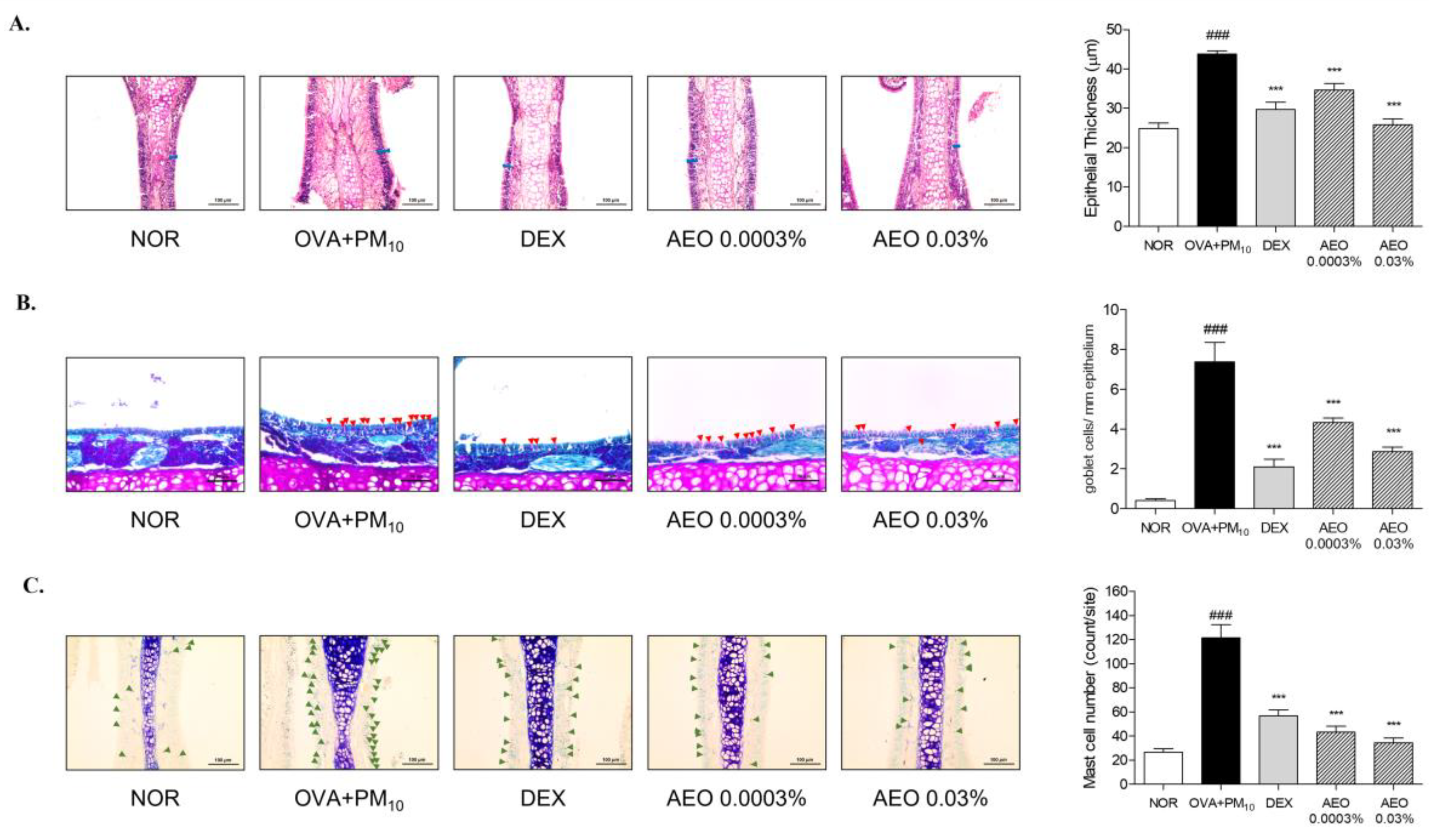 Pharmaceutics 15 01195 g002 Pharmaceutics 15 01195 g002